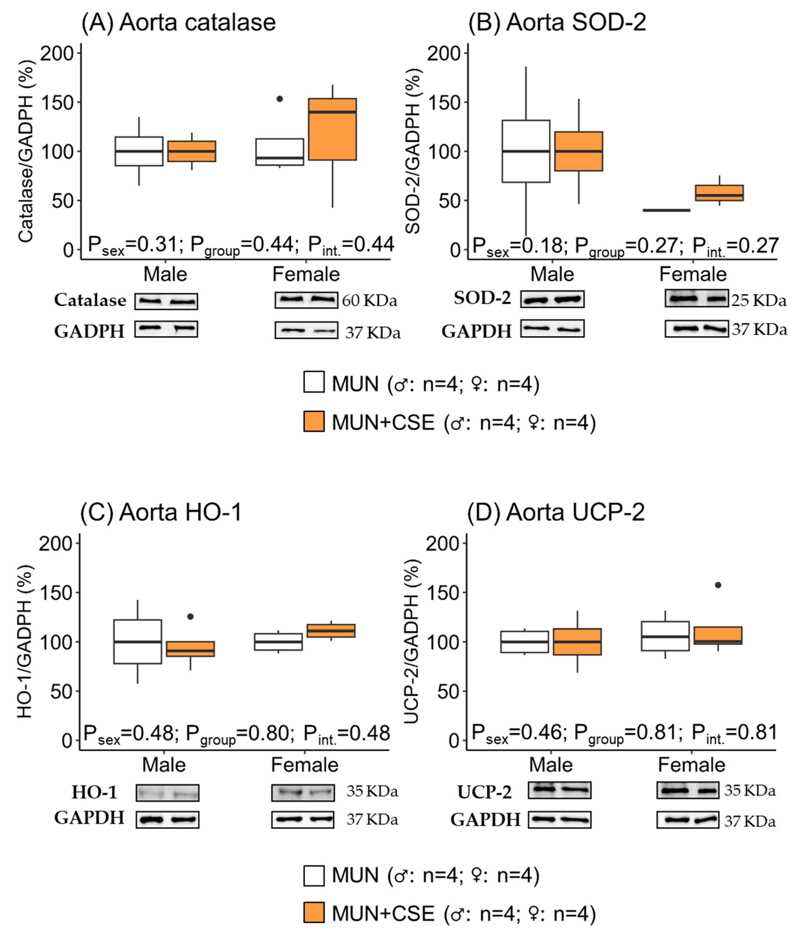 Antioxidants 12 01698 g006