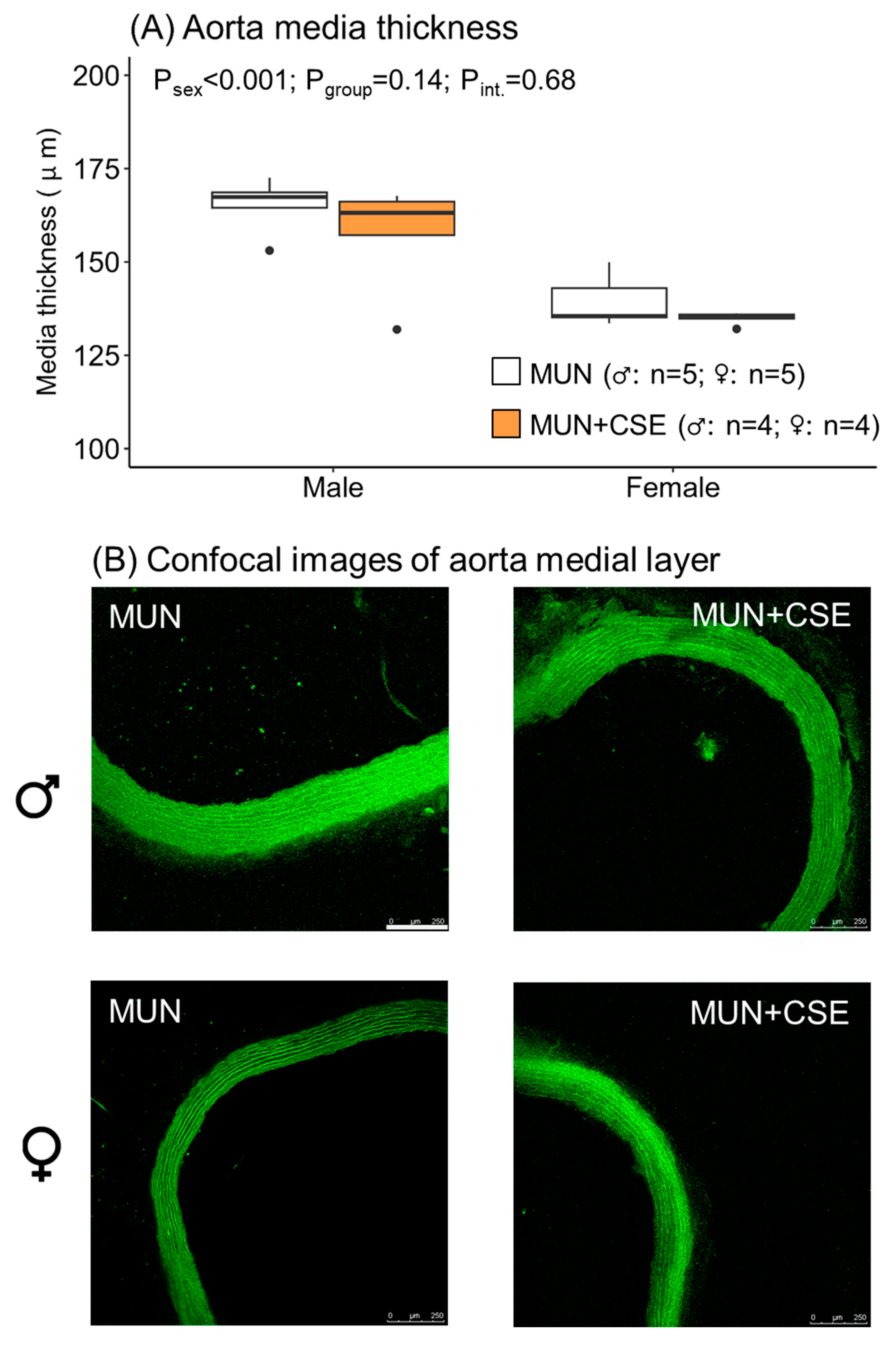 Antioxidants 12 01698 g007