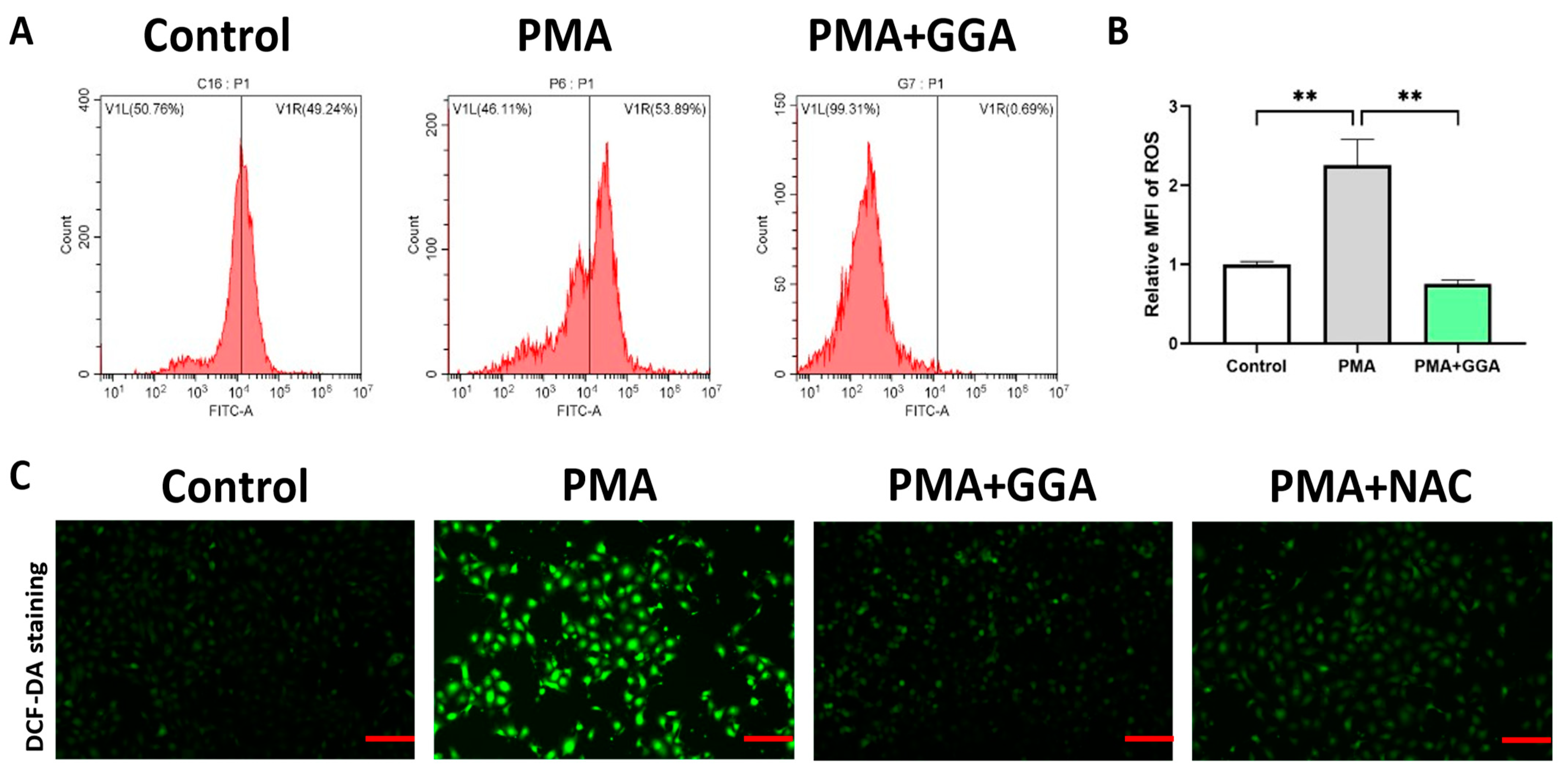 Antioxidants 12 01701 g005