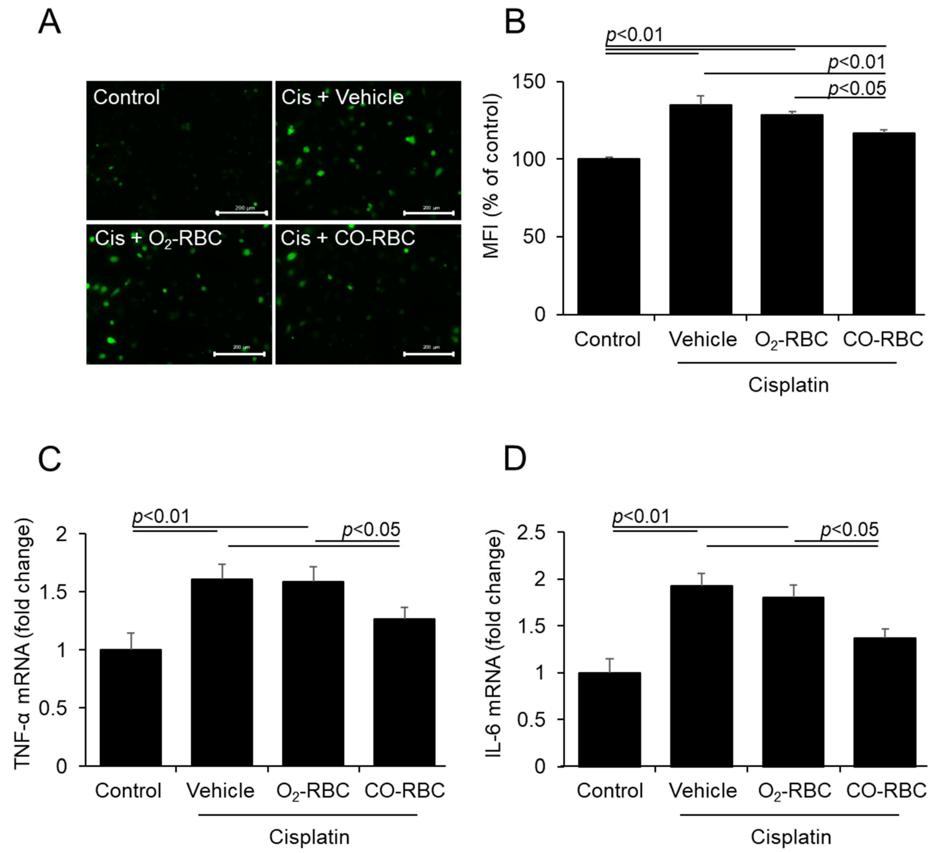 Antioxidants 12 01705 g002