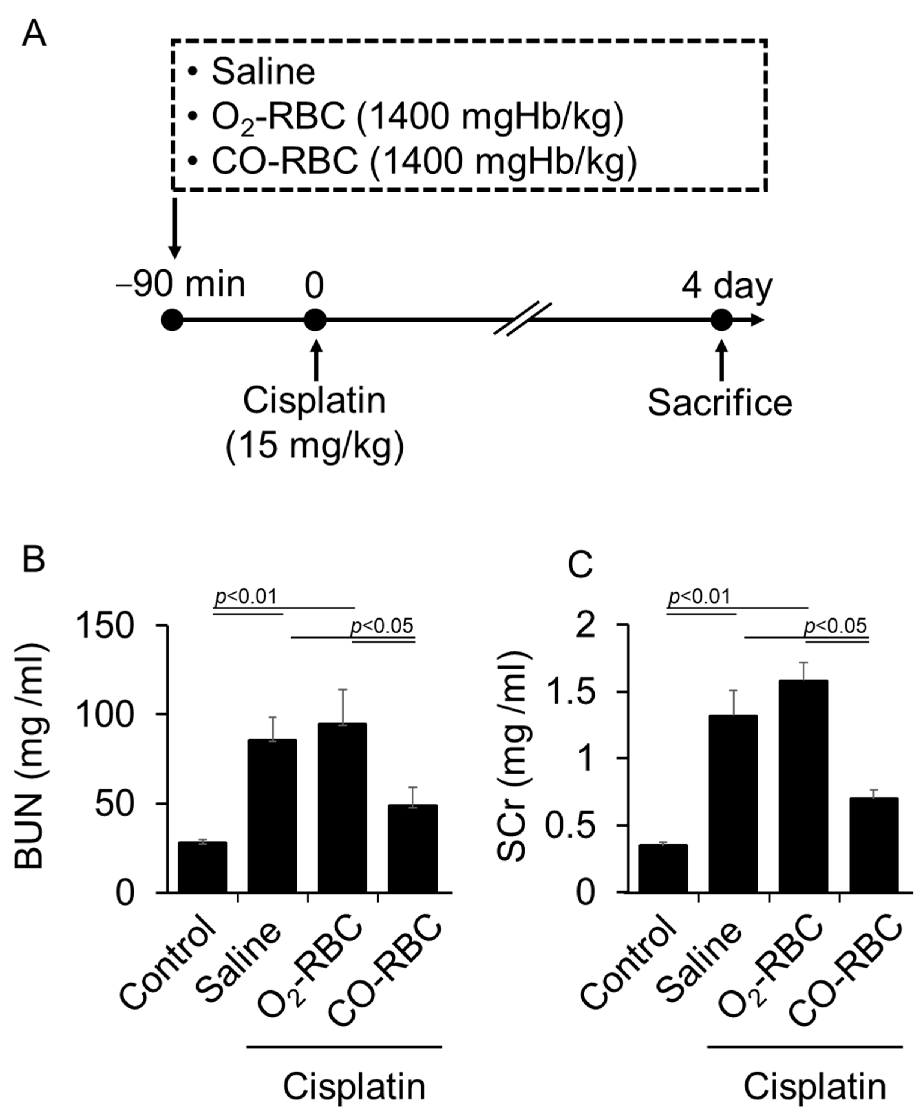 Antioxidants 12 01705 g003