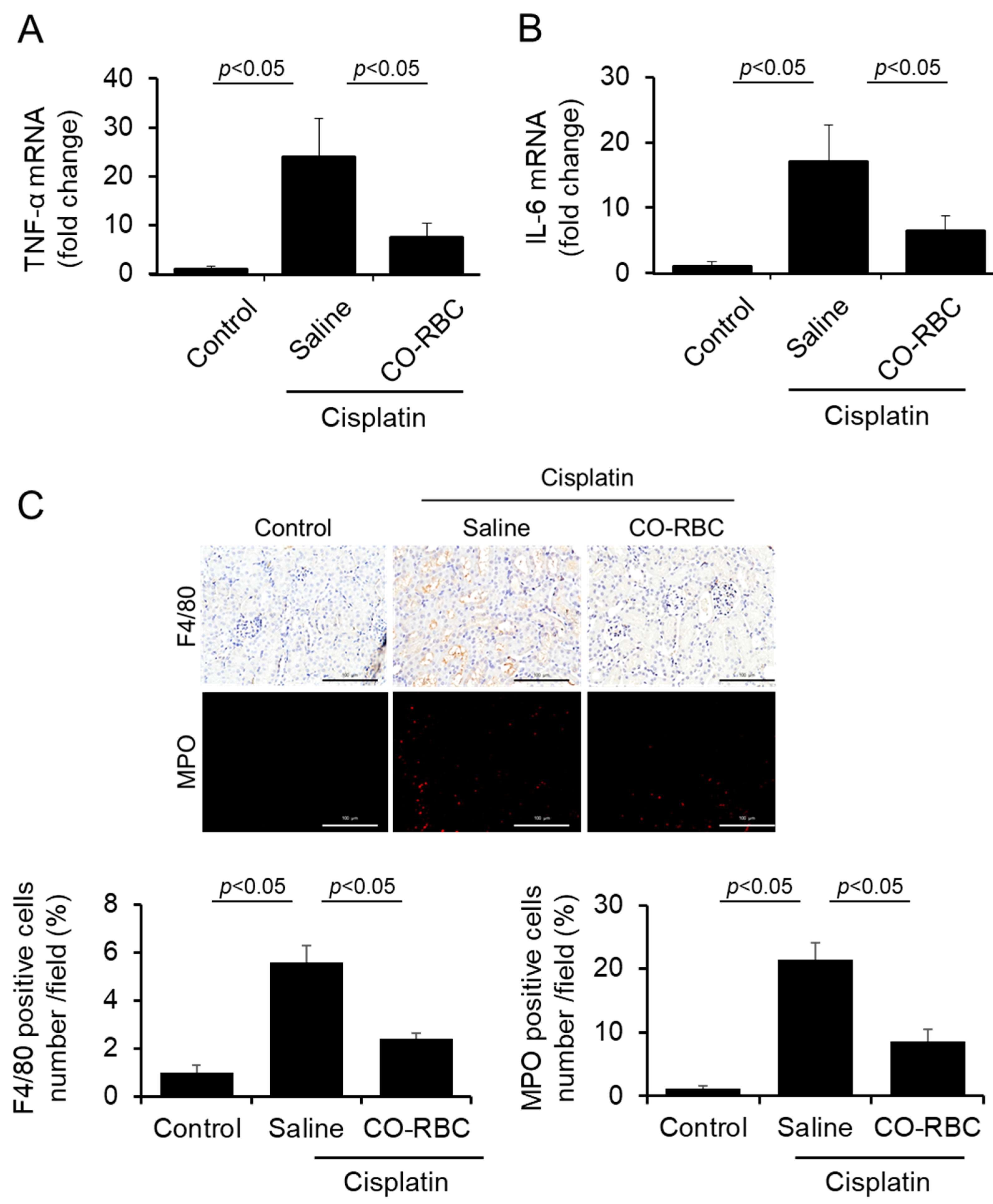 Antioxidants 12 01705 g006