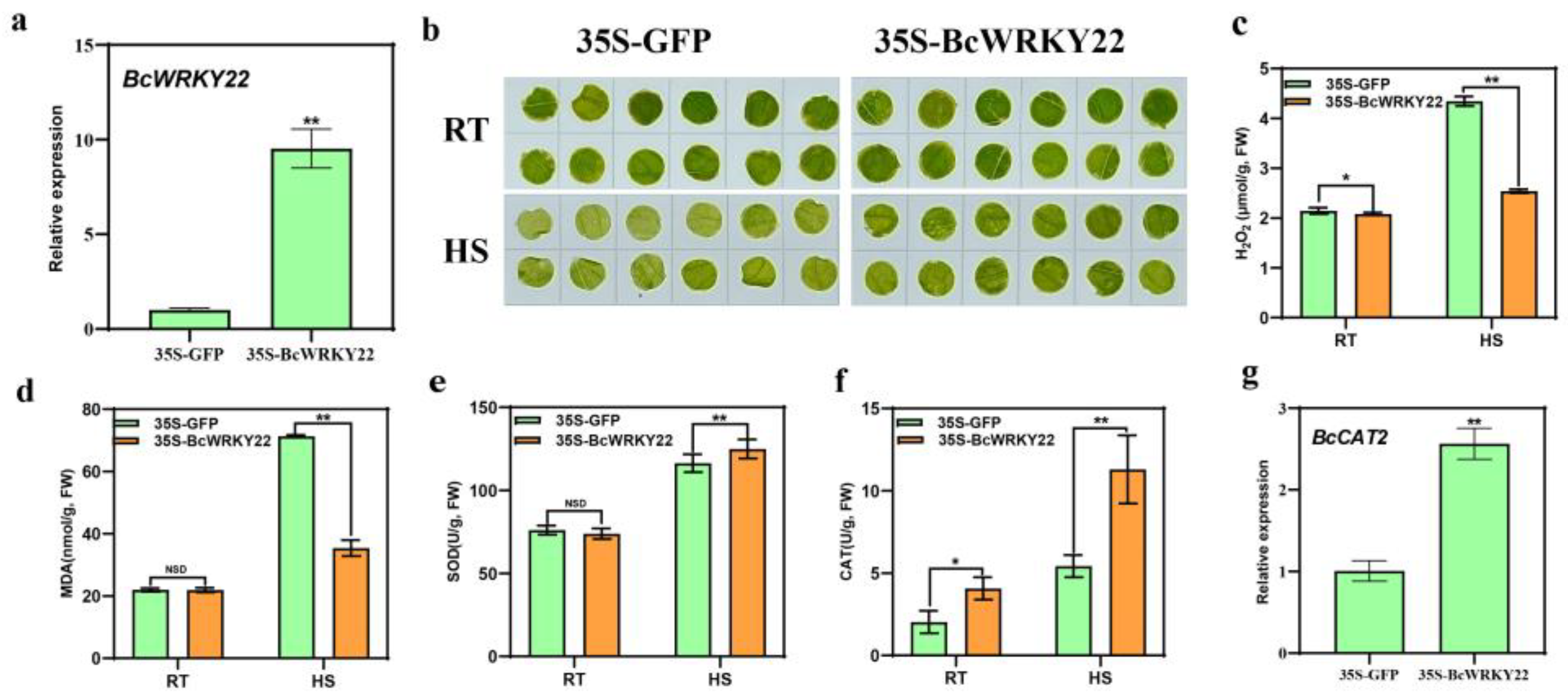 Antioxidants 12 01710 g003