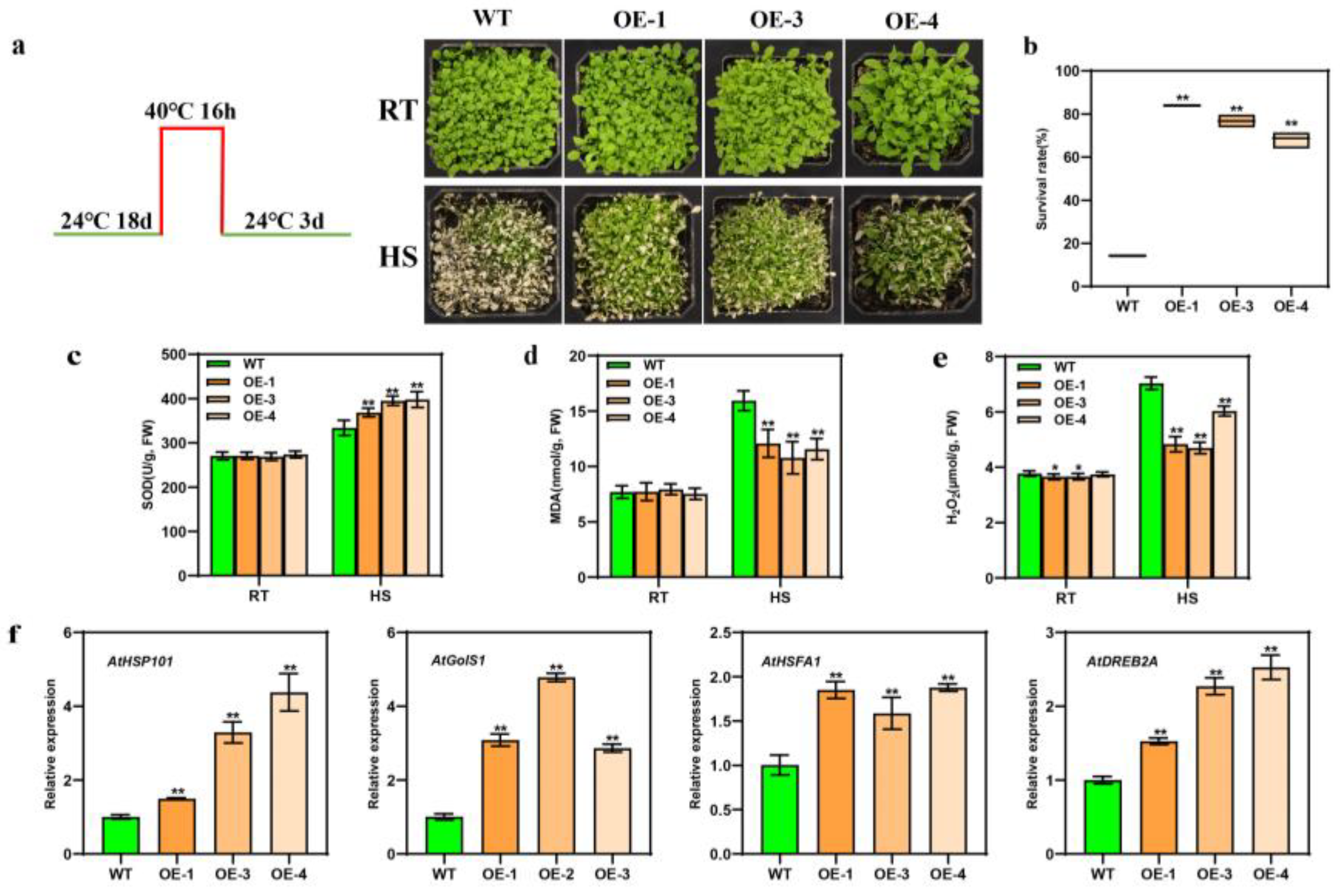 Antioxidants 12 01710 g004