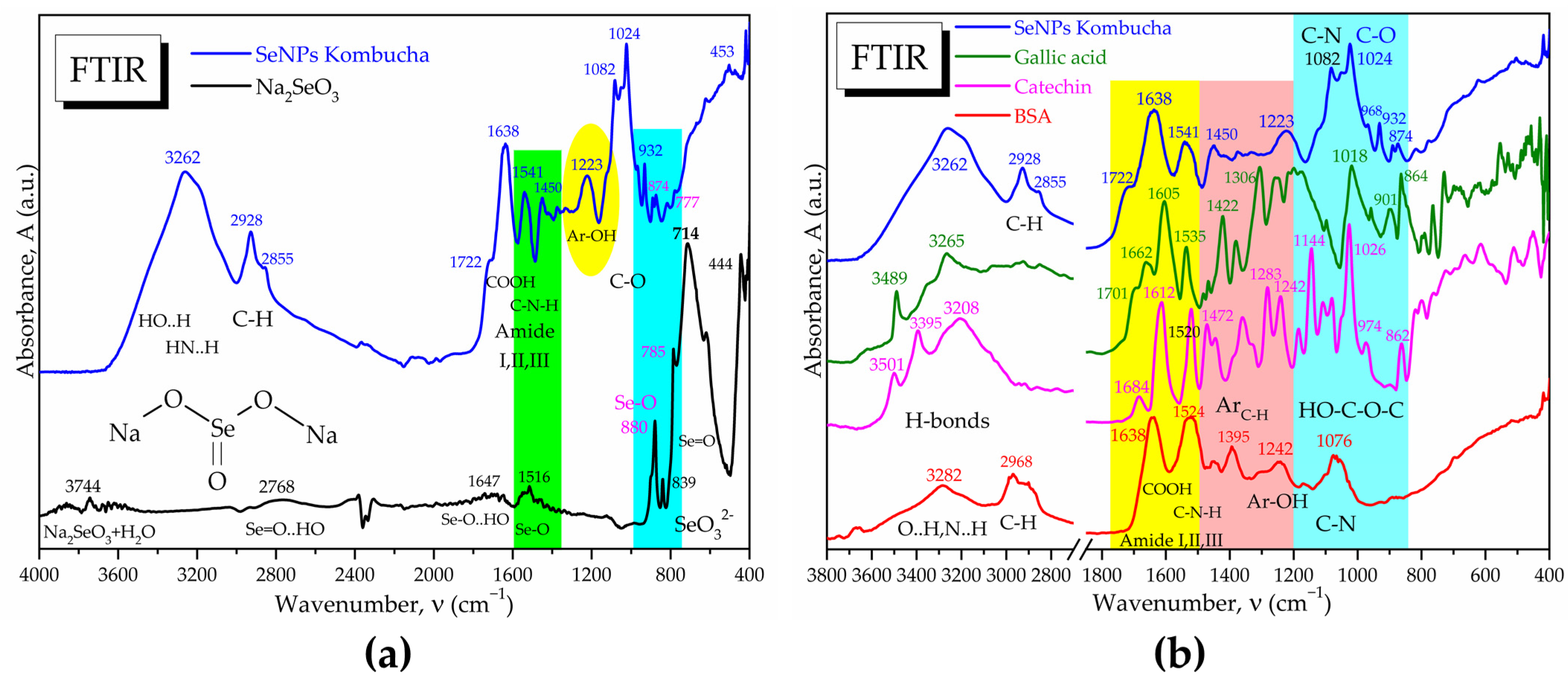 Antioxidants 12 01711 g007