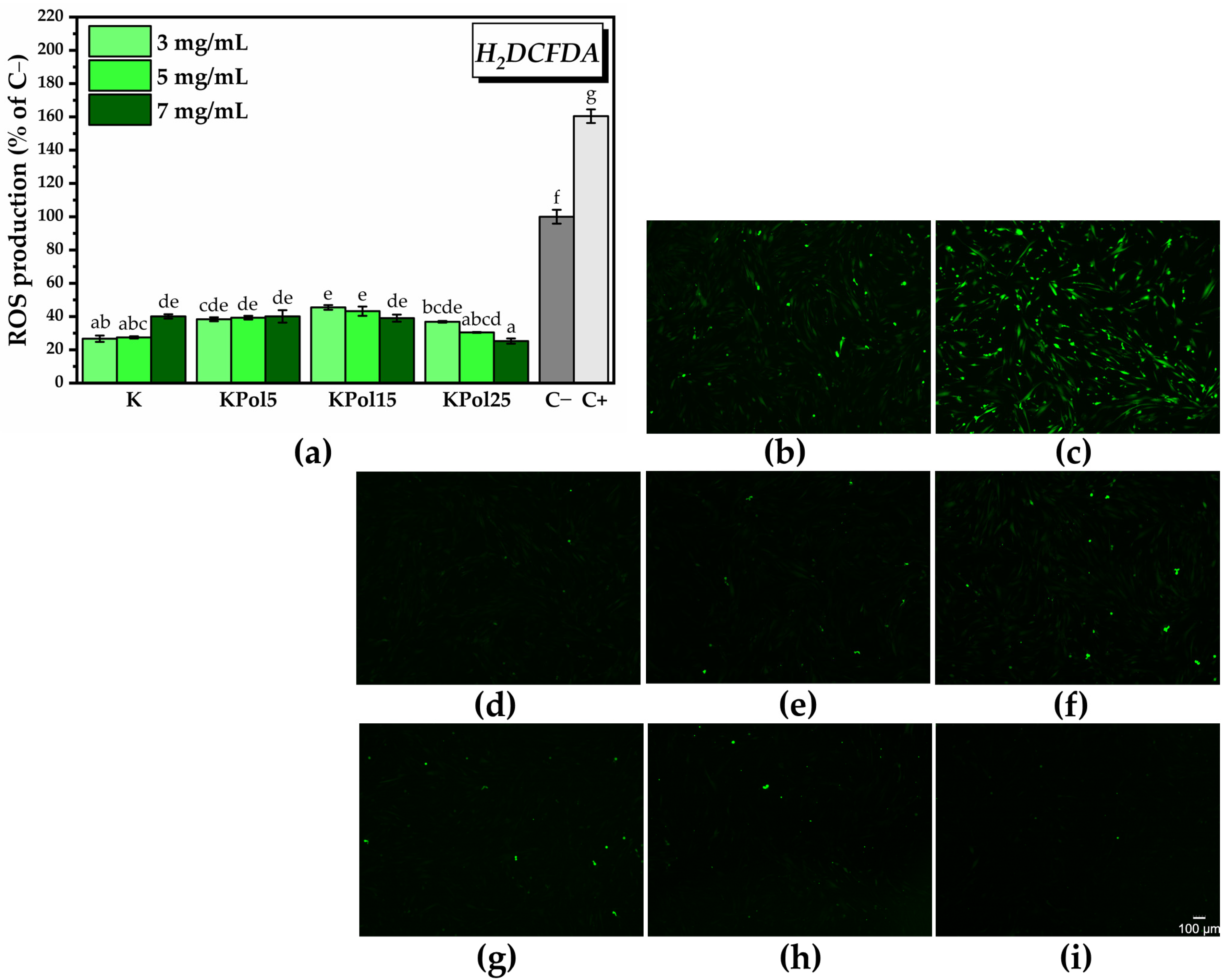 Antioxidants 12 01711 g015