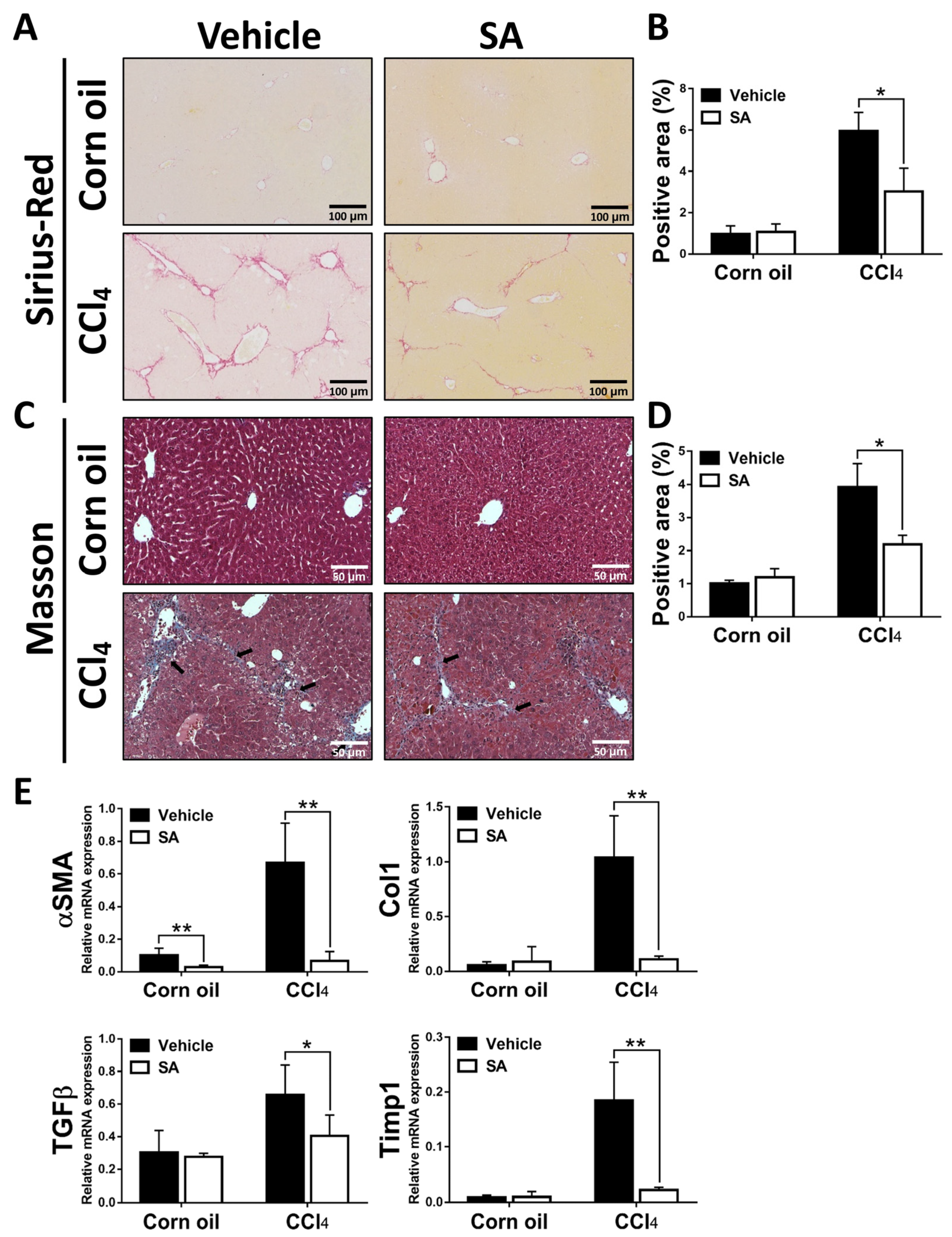 Antioxidants 12 01718 g002