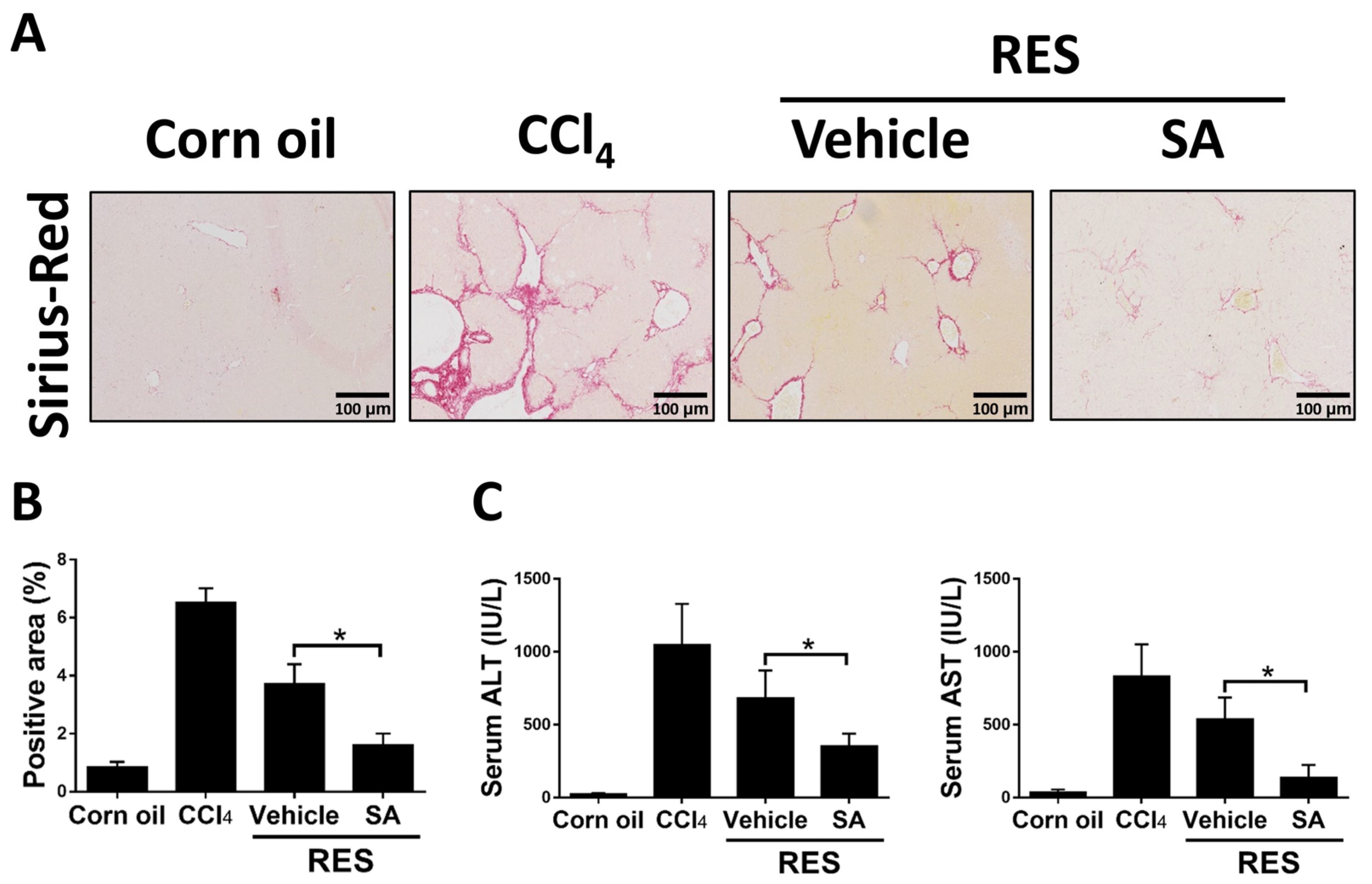 Antioxidants 12 01718 g009