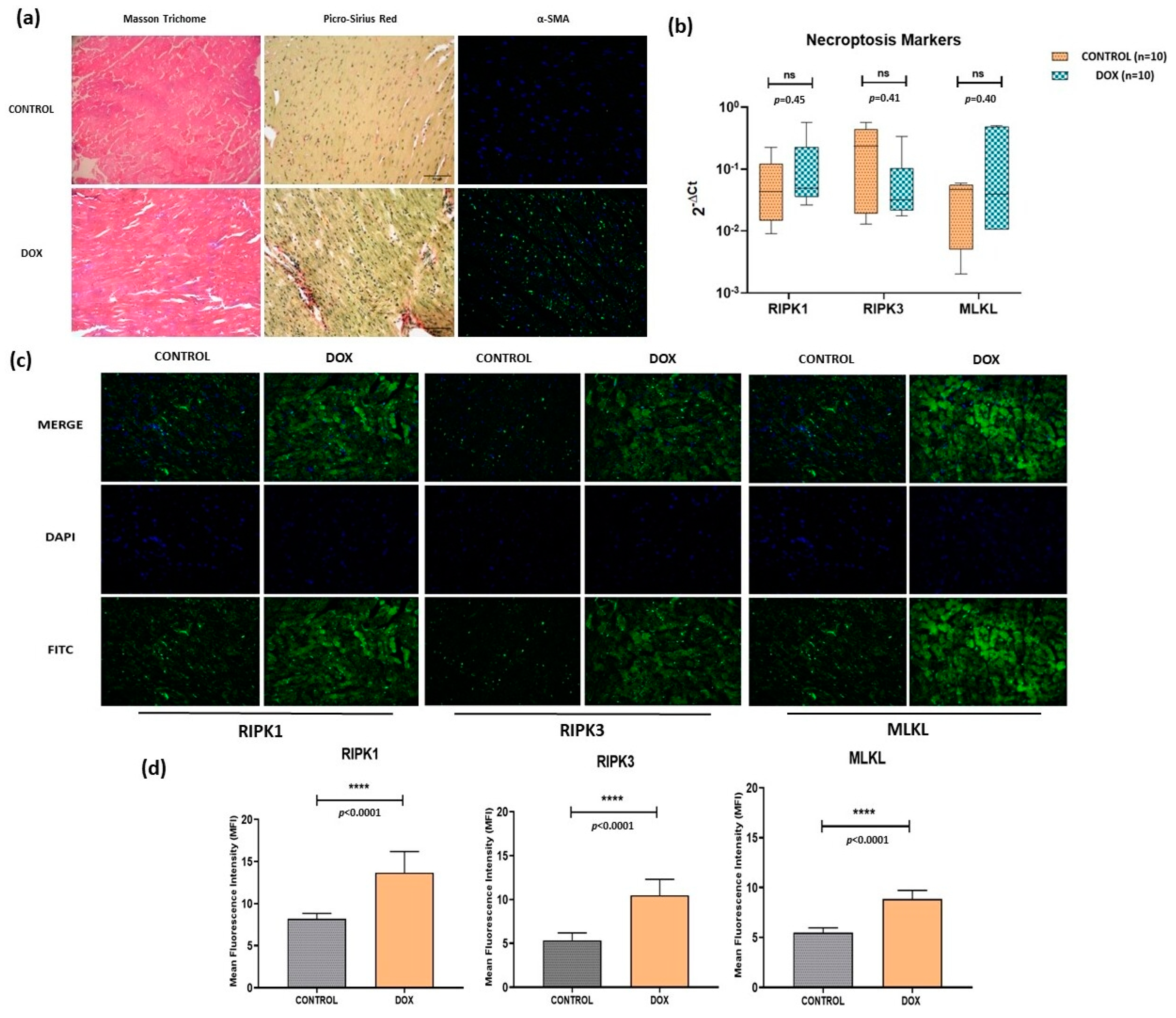 Antioxidants 12 01720 g002 Antioxidants 12 01720 g002