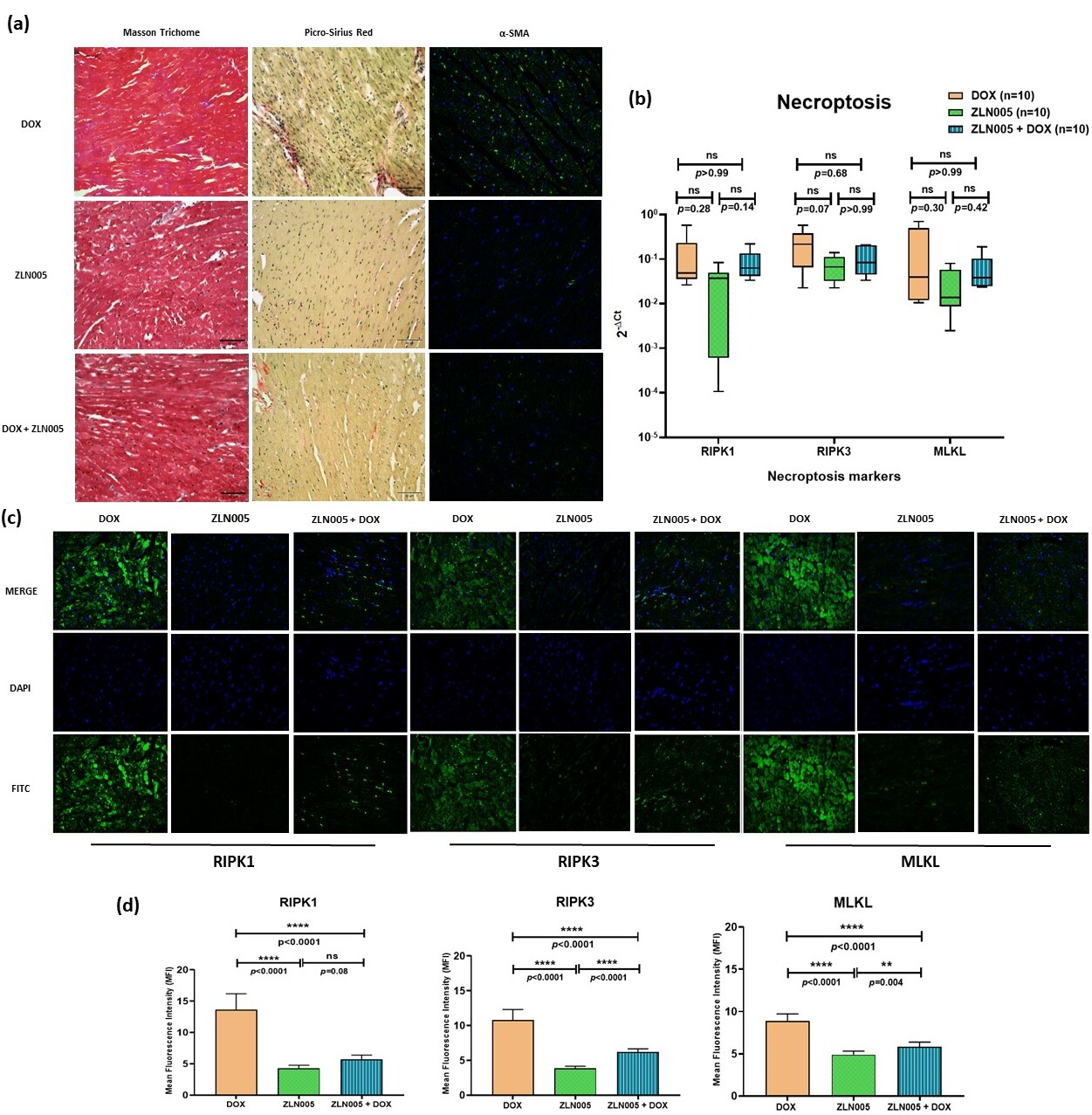 Antioxidants 12 01720 g004 Antioxidants 12 01720 g004