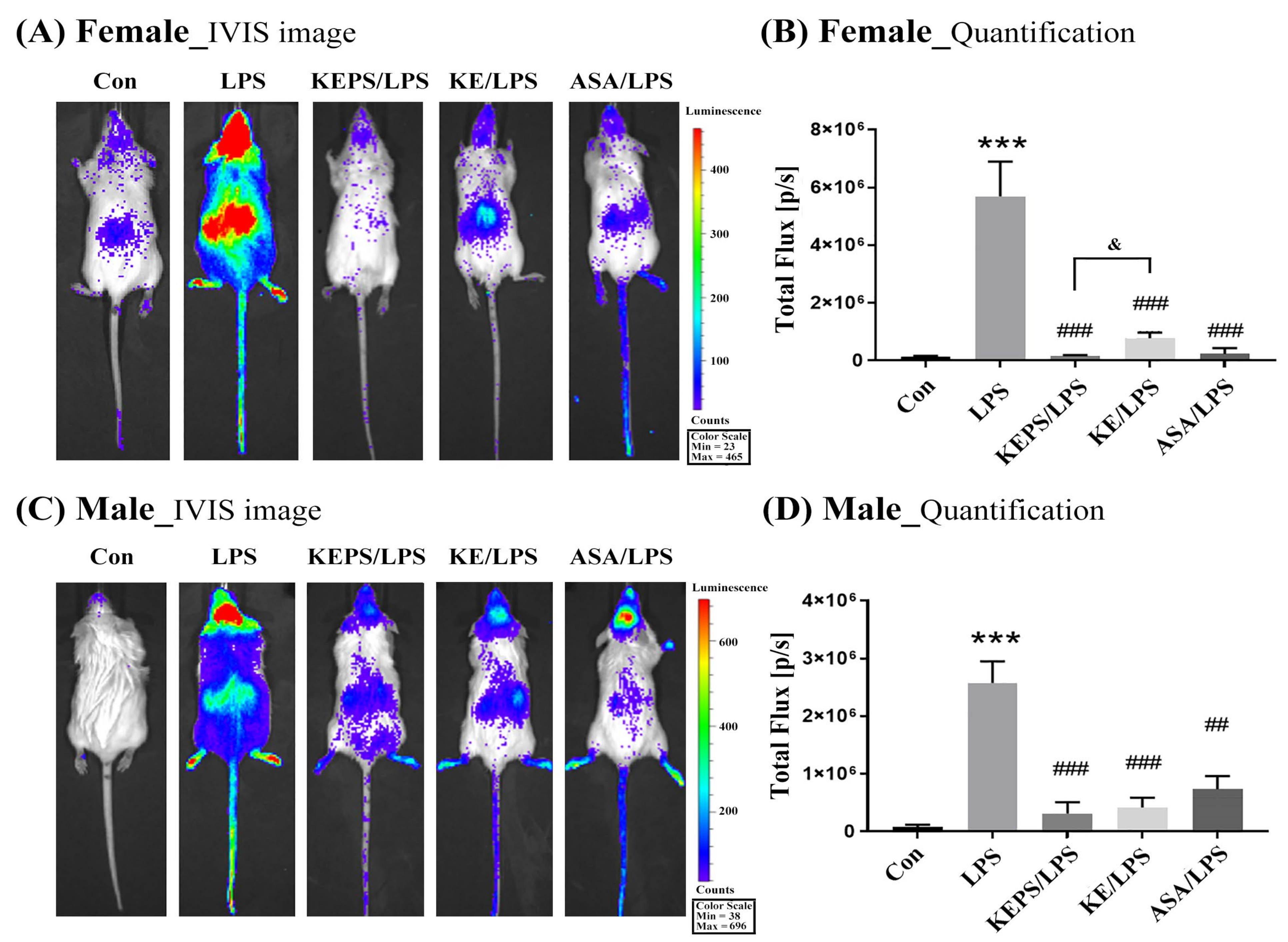 Antioxidants 12 01724 g004
