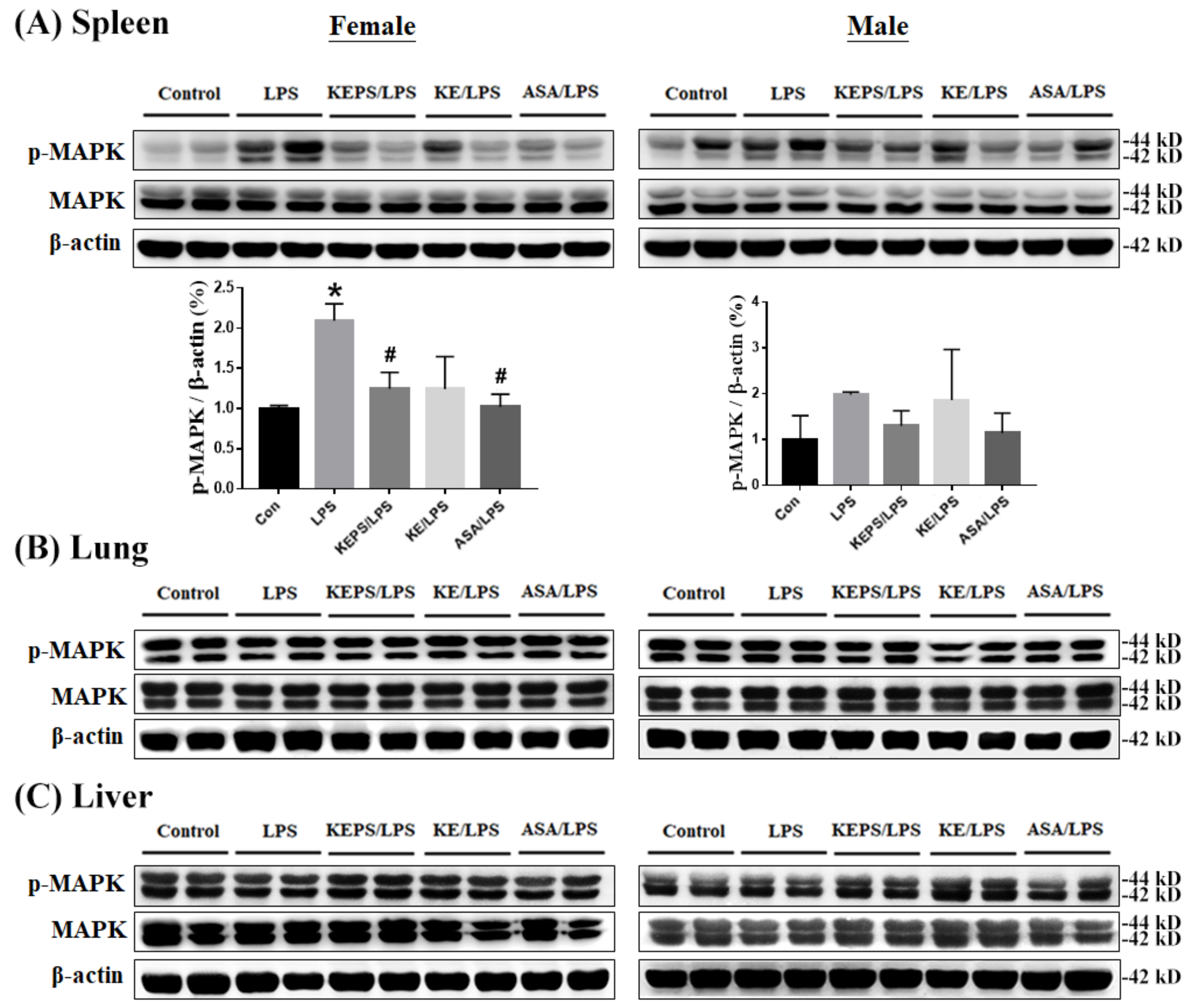 Antioxidants 12 01724 g007
