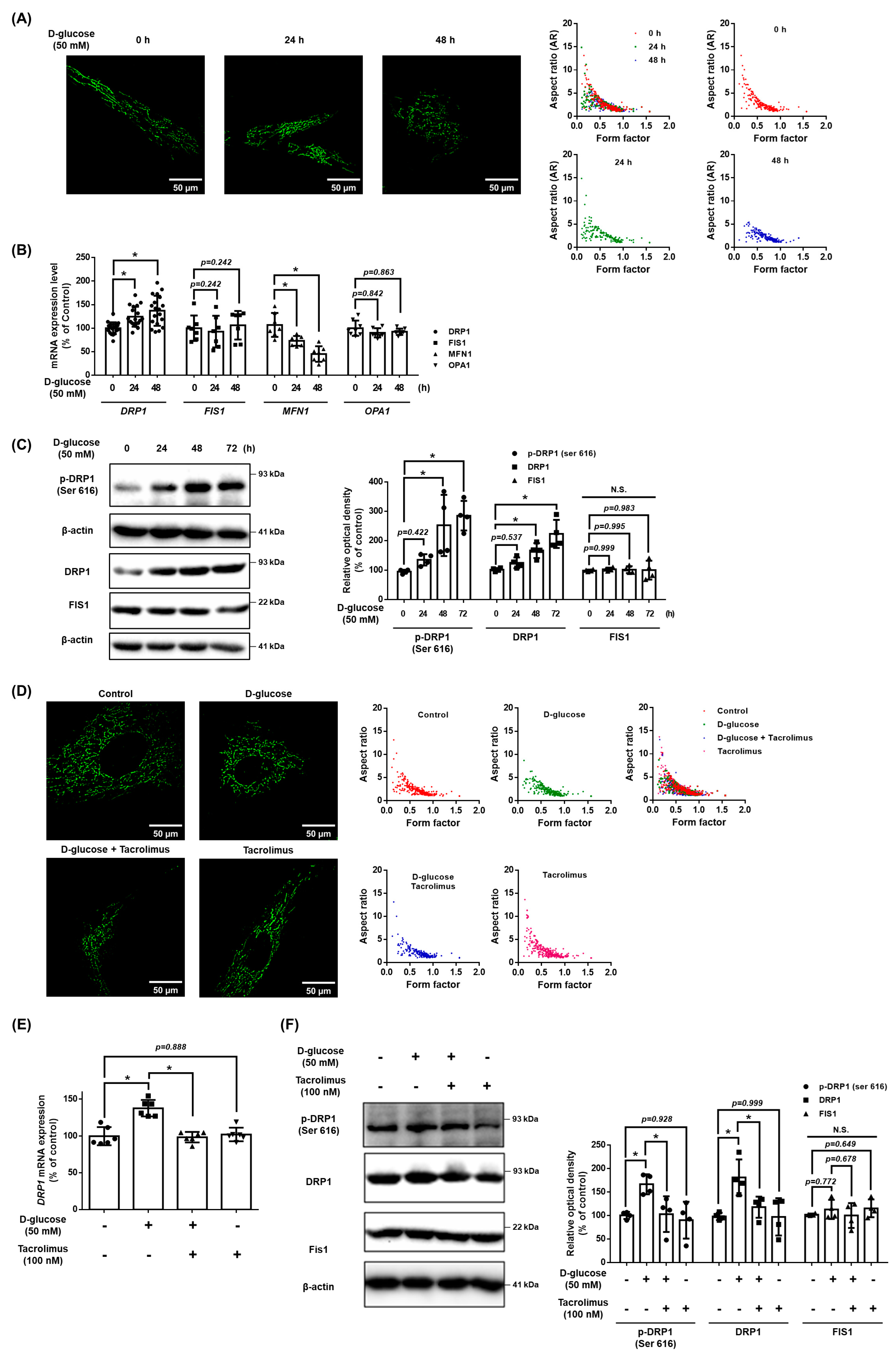 Antioxidants 12 01727 g006