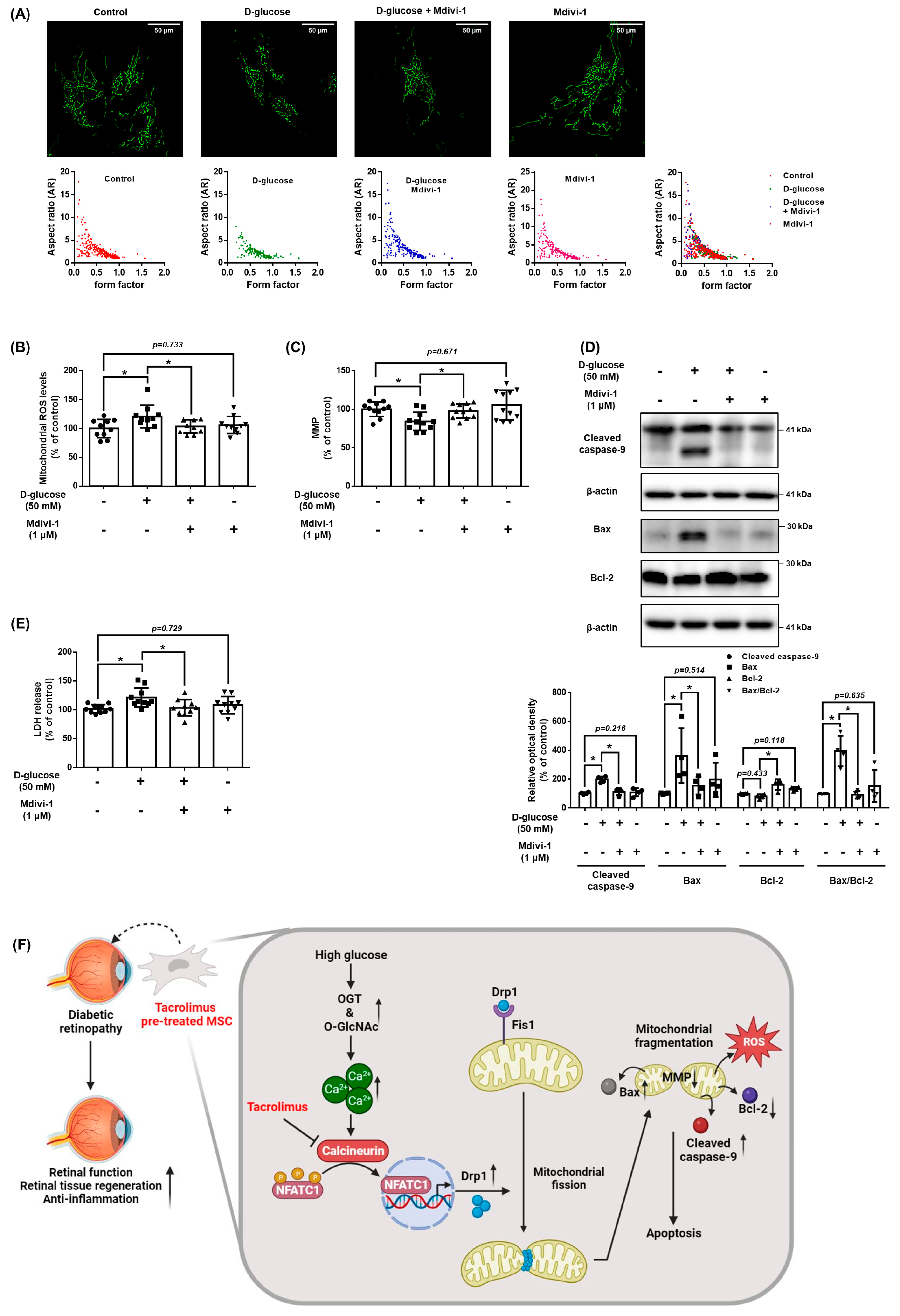 Antioxidants 12 01727 g007