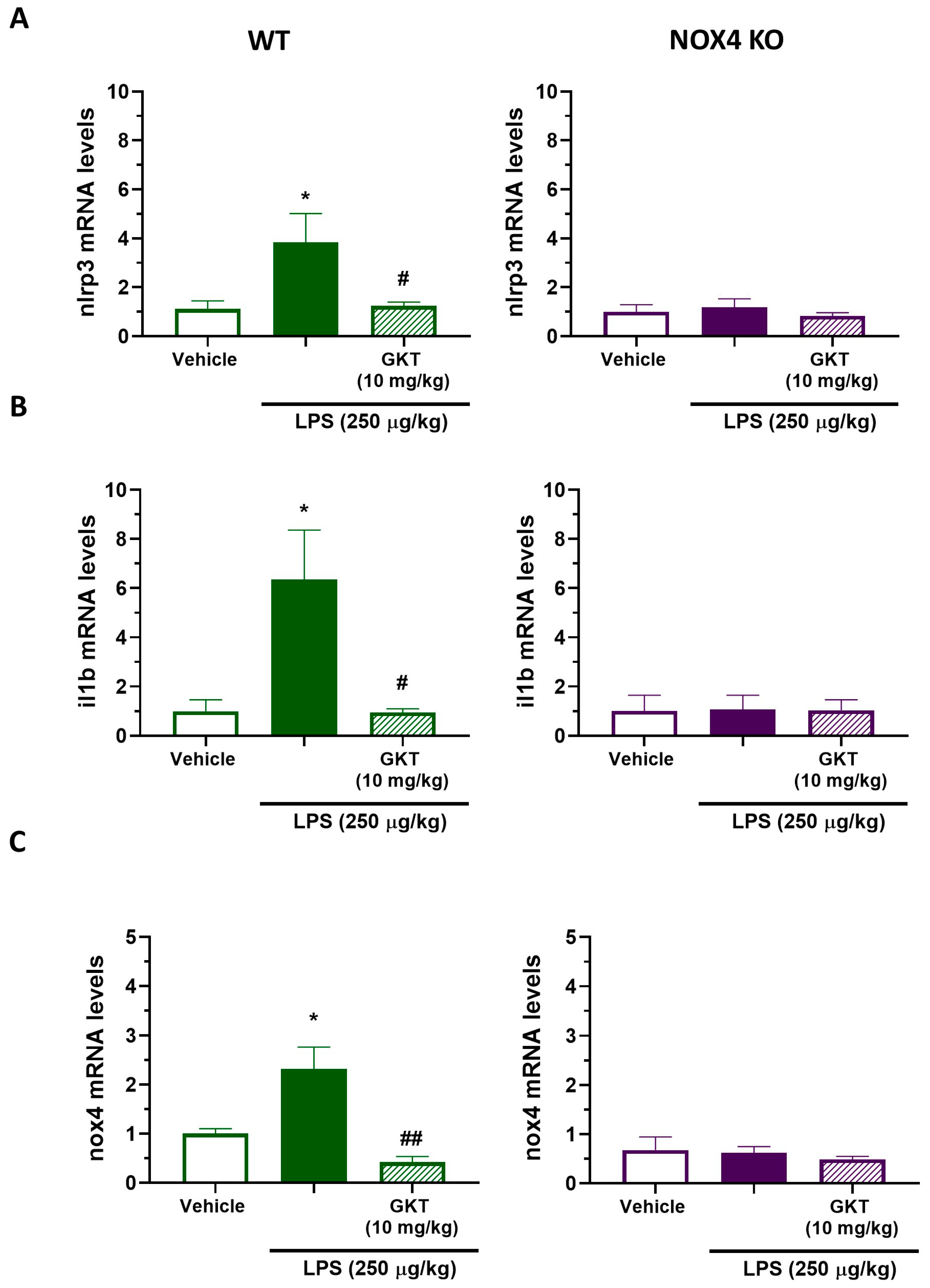 Antioxidants 12 01729 g006