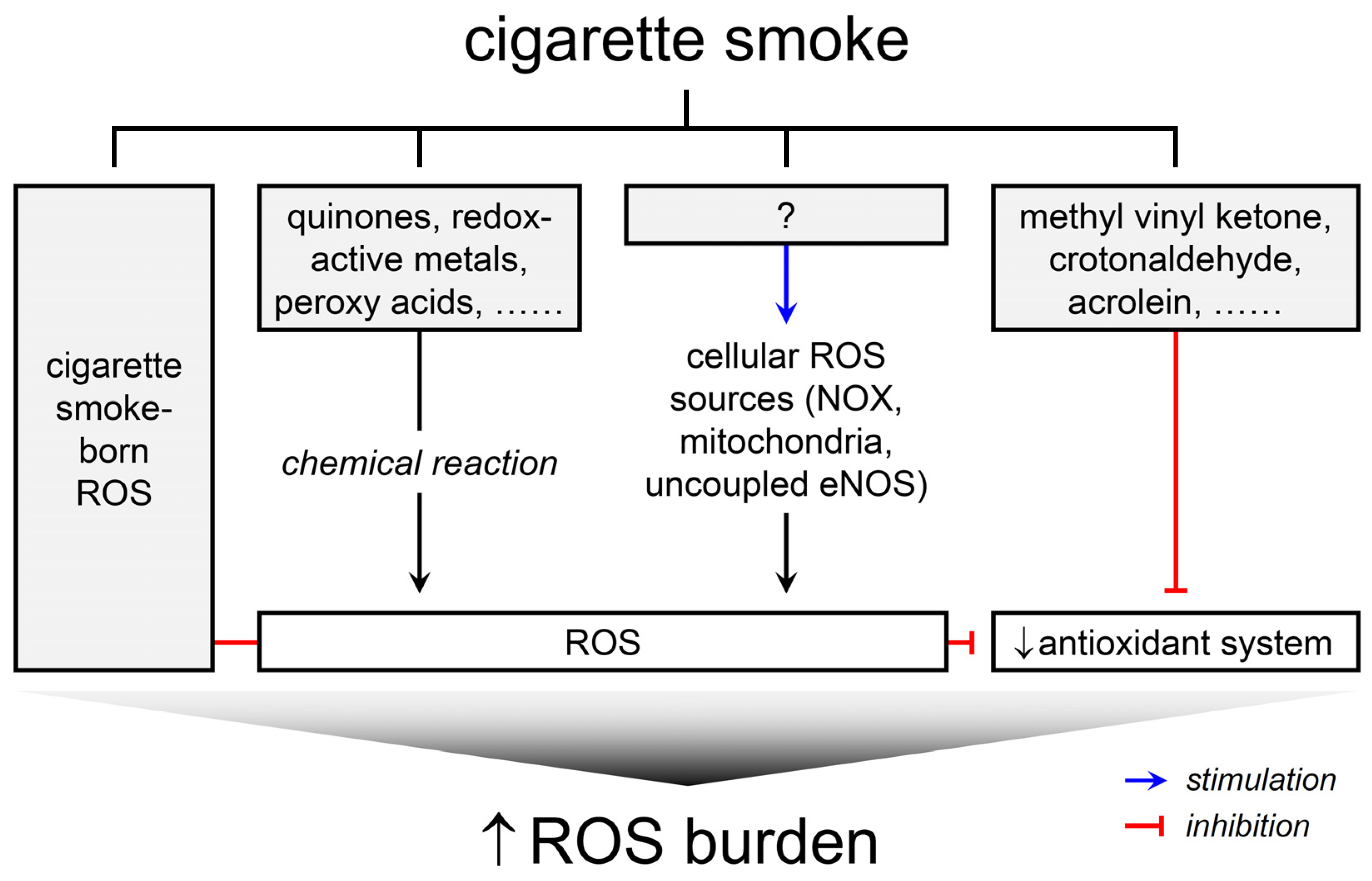 2 Schematic representation of the formation of various ROS such as 1 O
