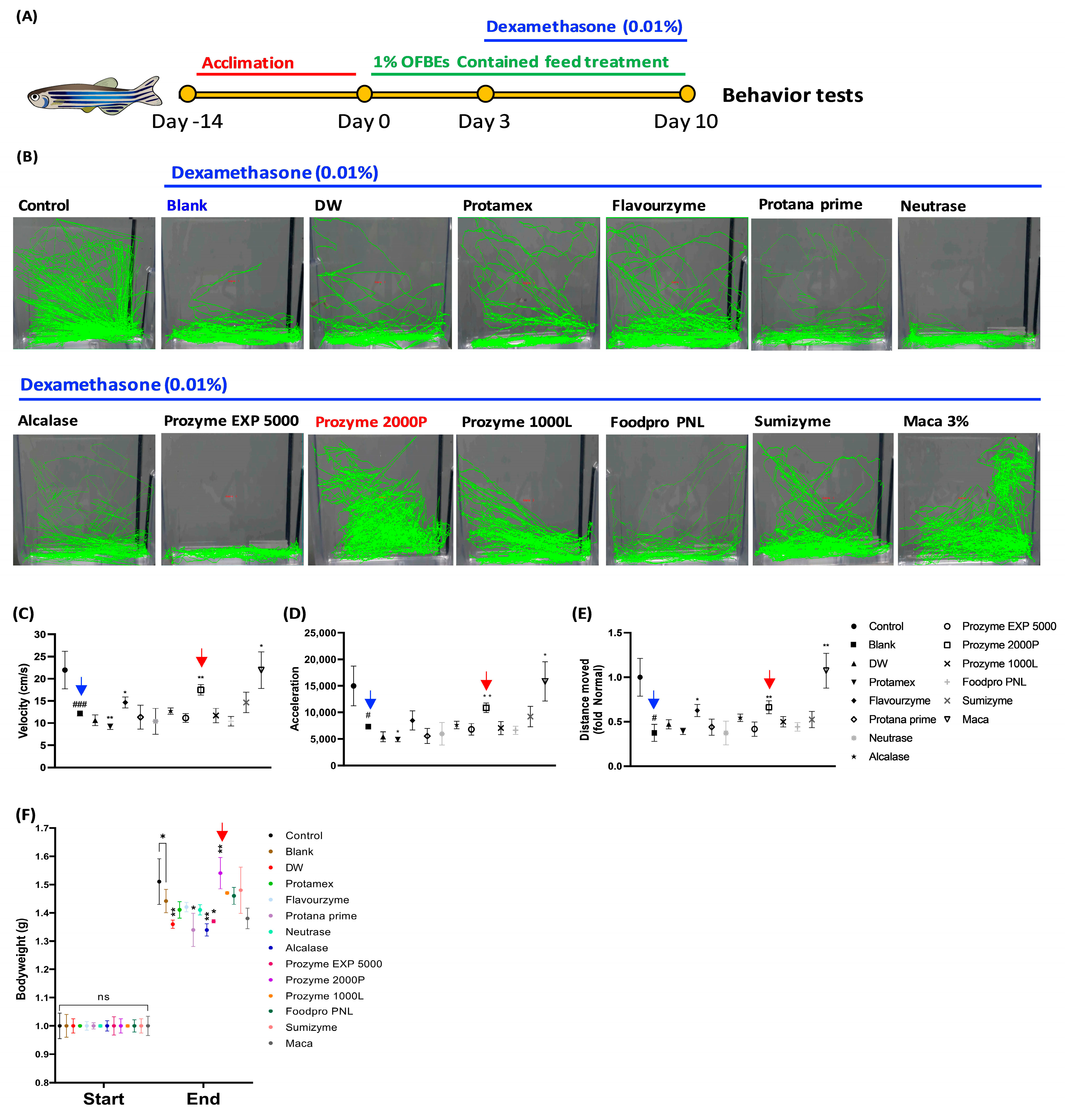Antioxidants 12 01755 g006