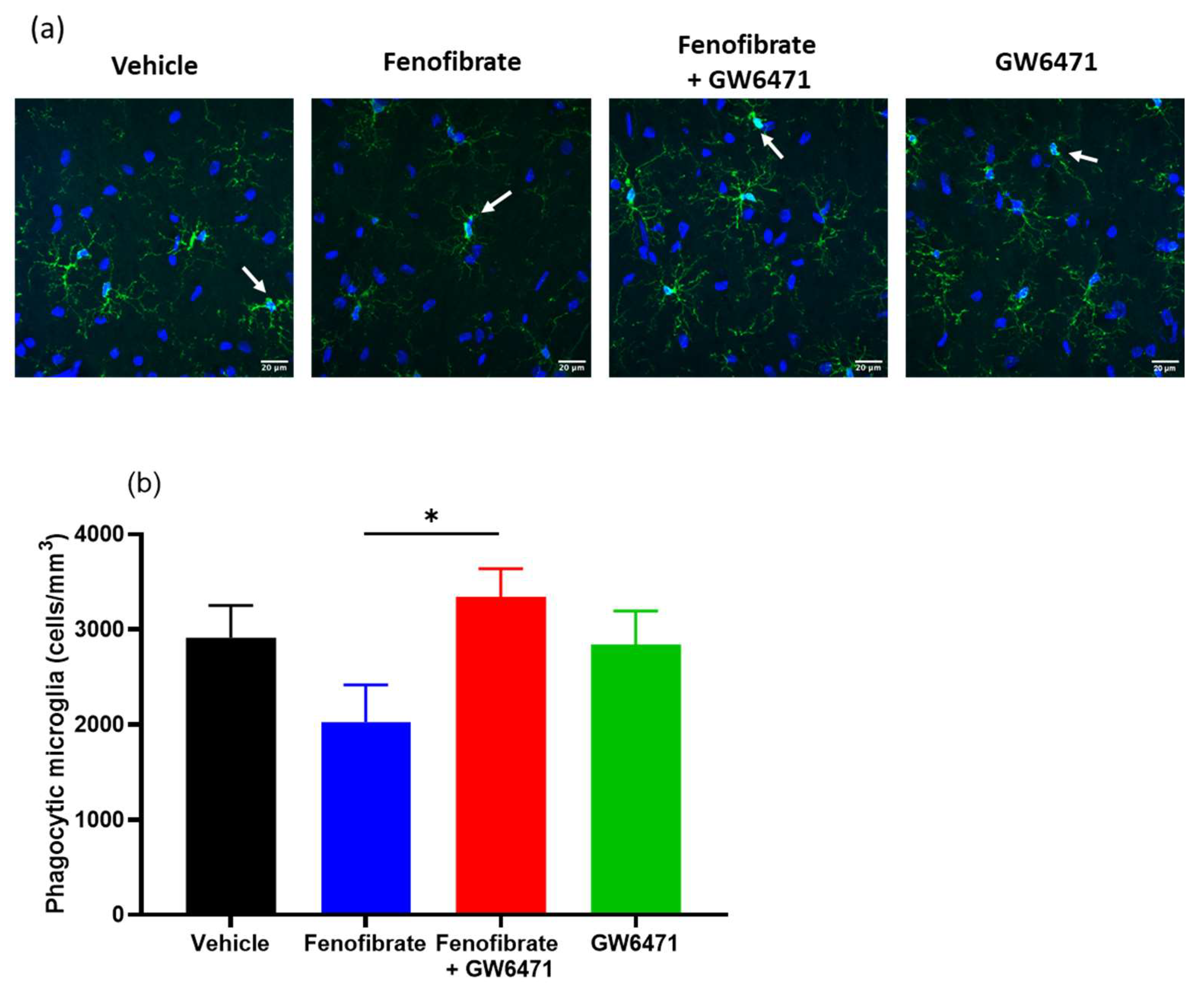 Antioxidants 12 01758 g005
