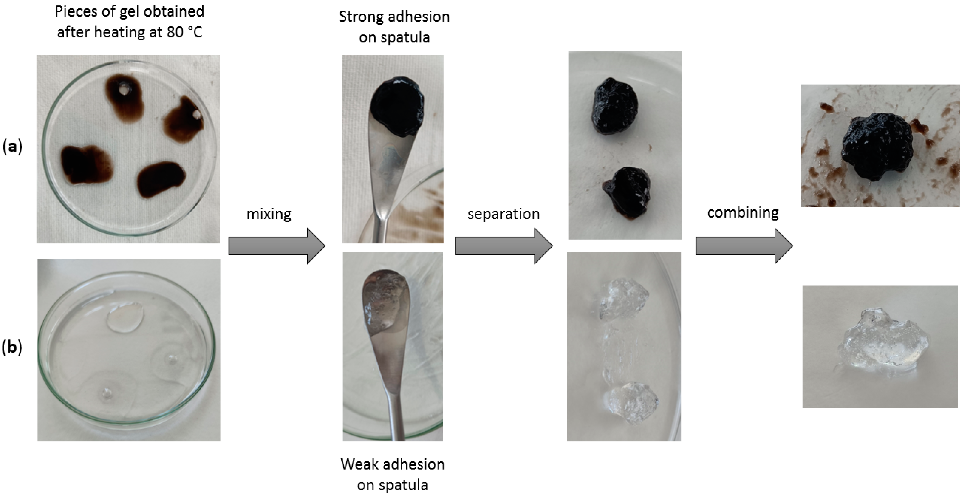 Antioxidants 12 01764 g003
