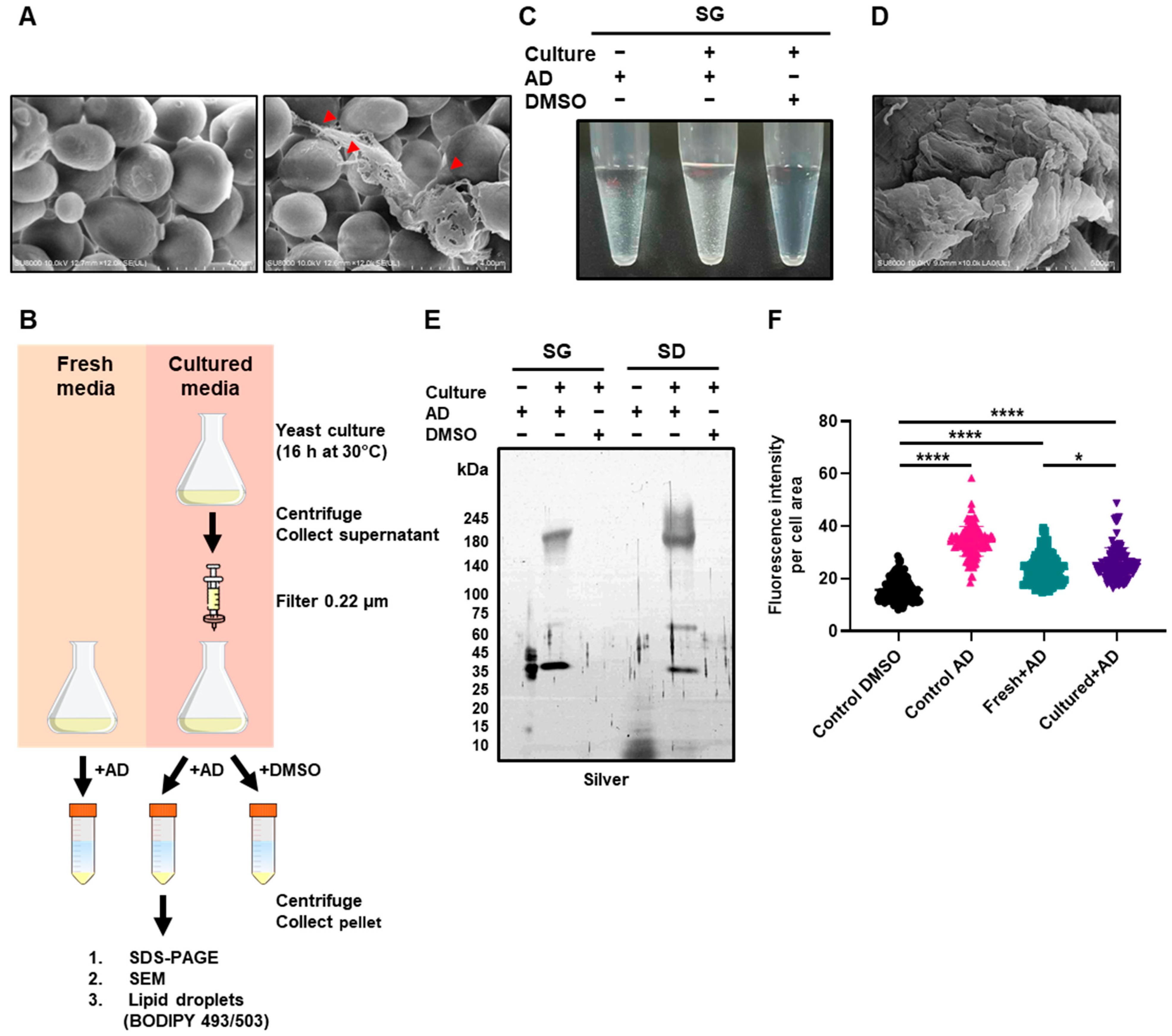 Antioxidants 12 01765 g006