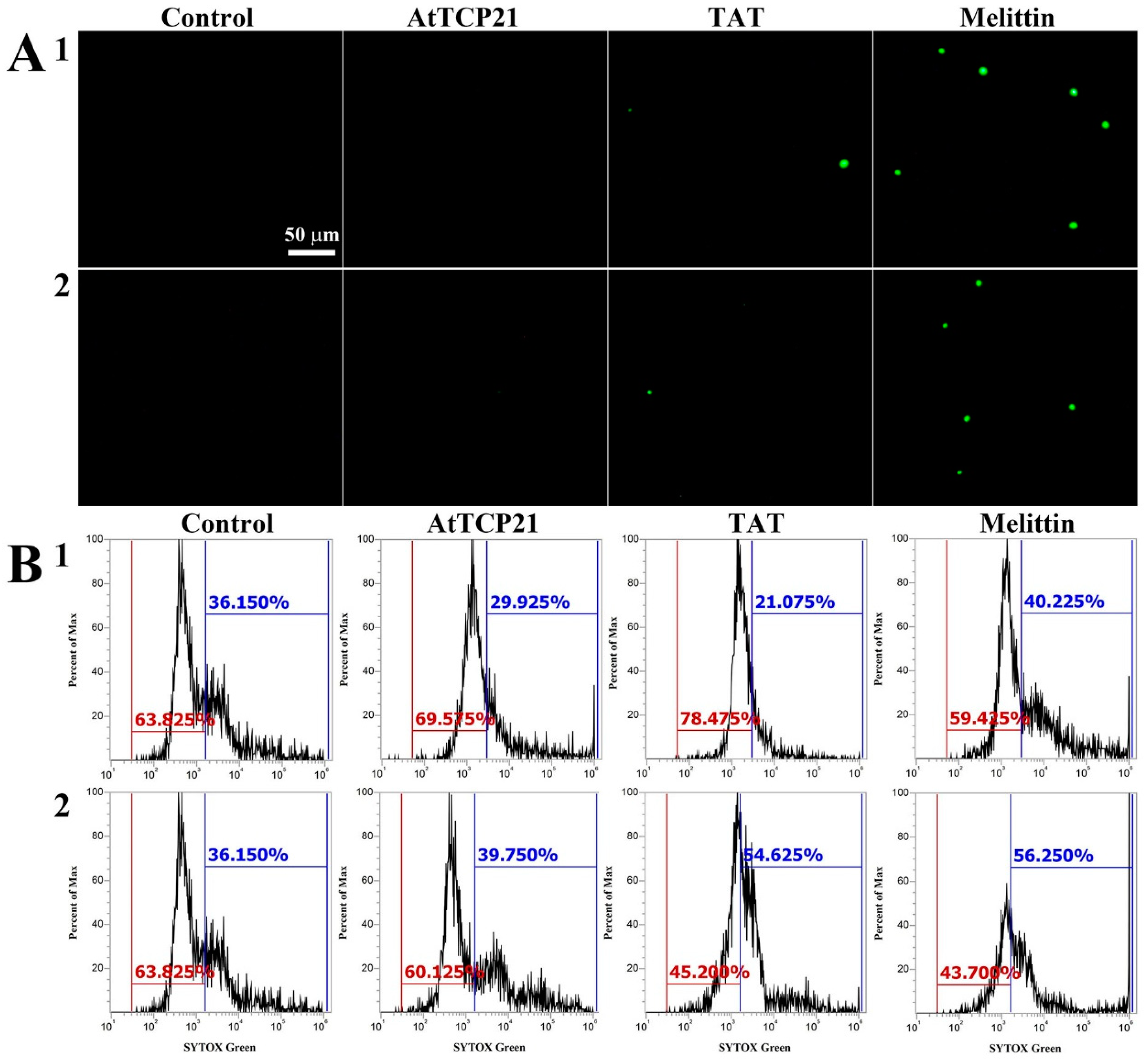 Antioxidants 12 01767 g004
