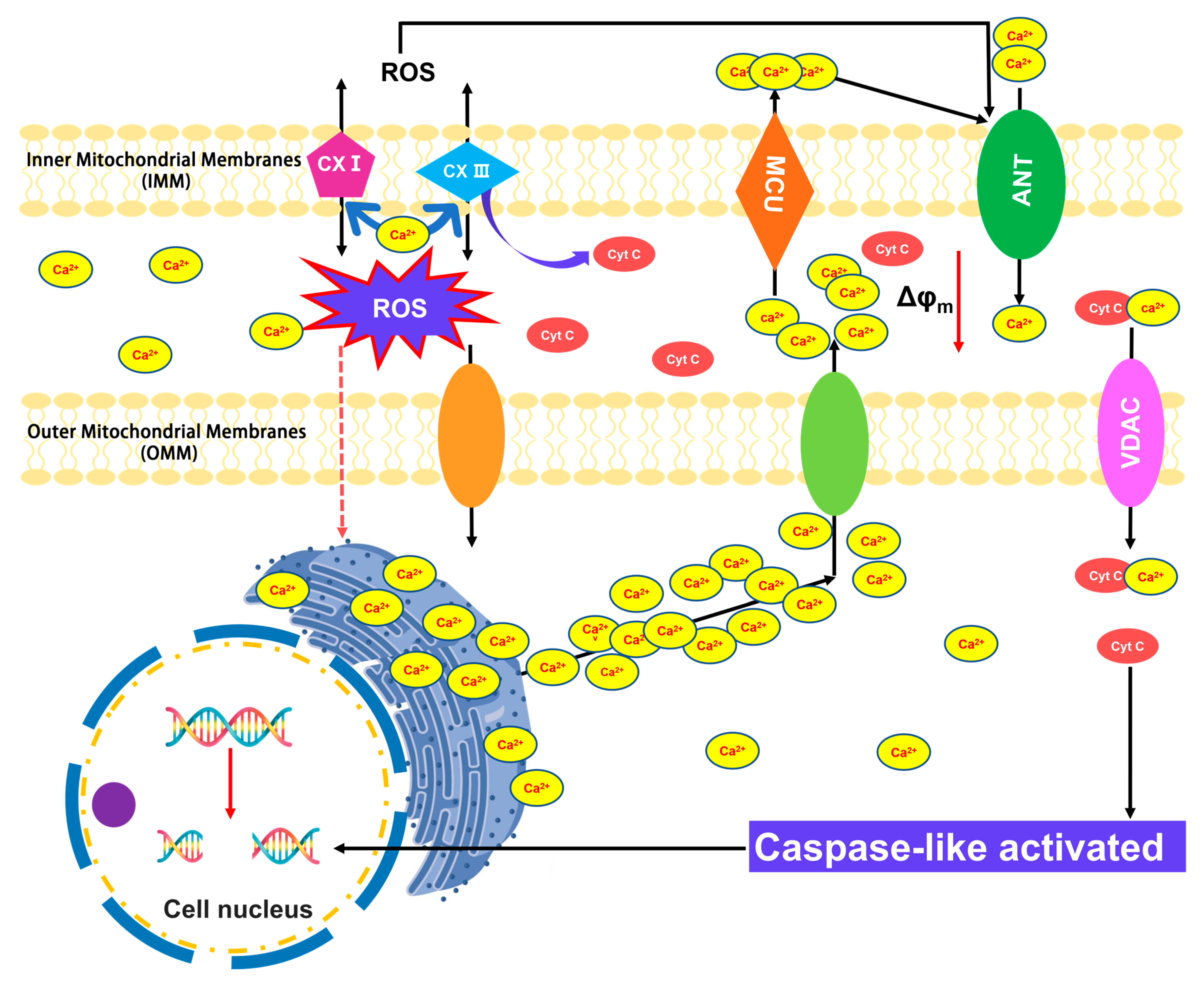 Antioxidants 12 01768 g001