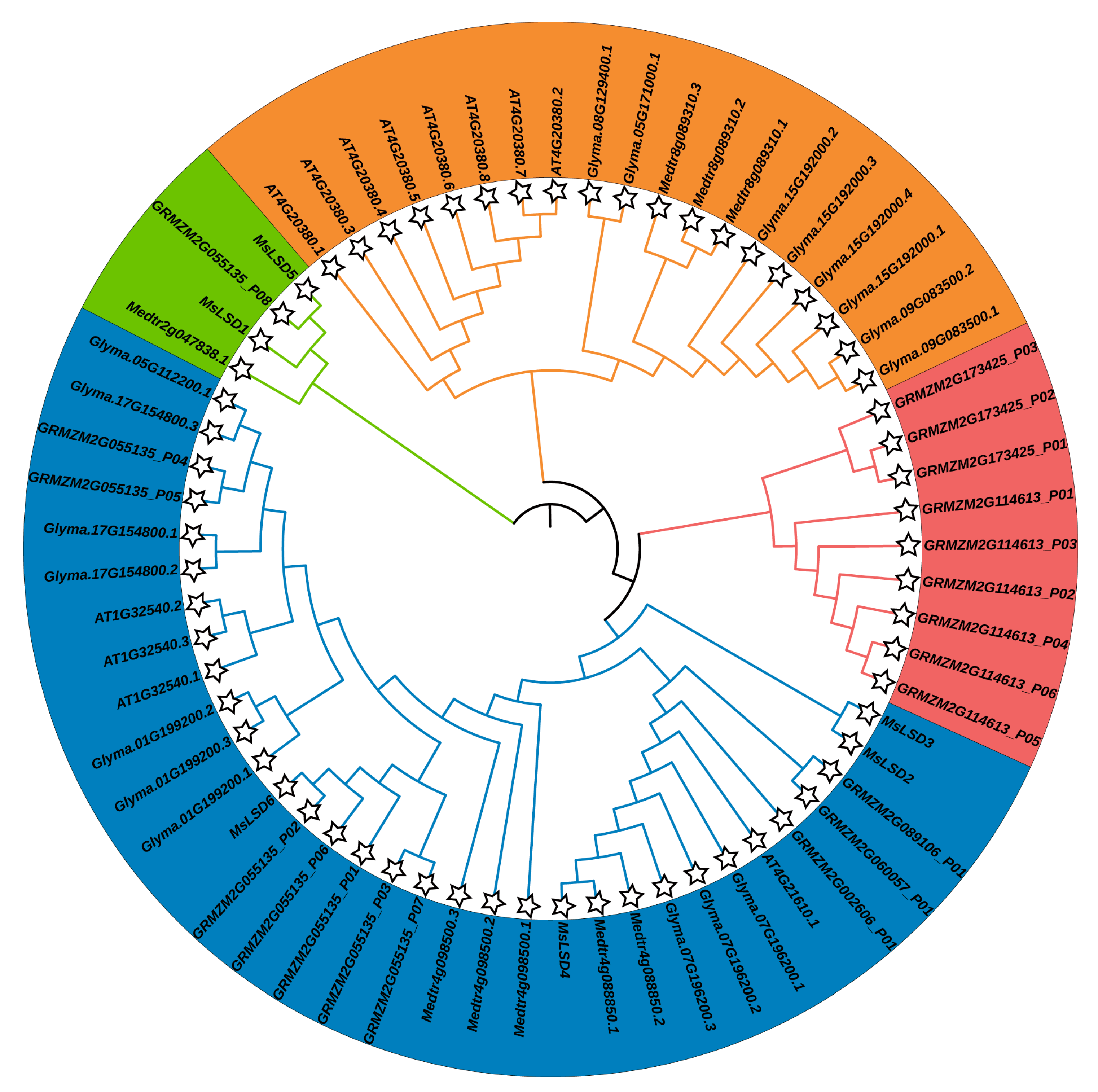 Antioxidants 12 01768 g005