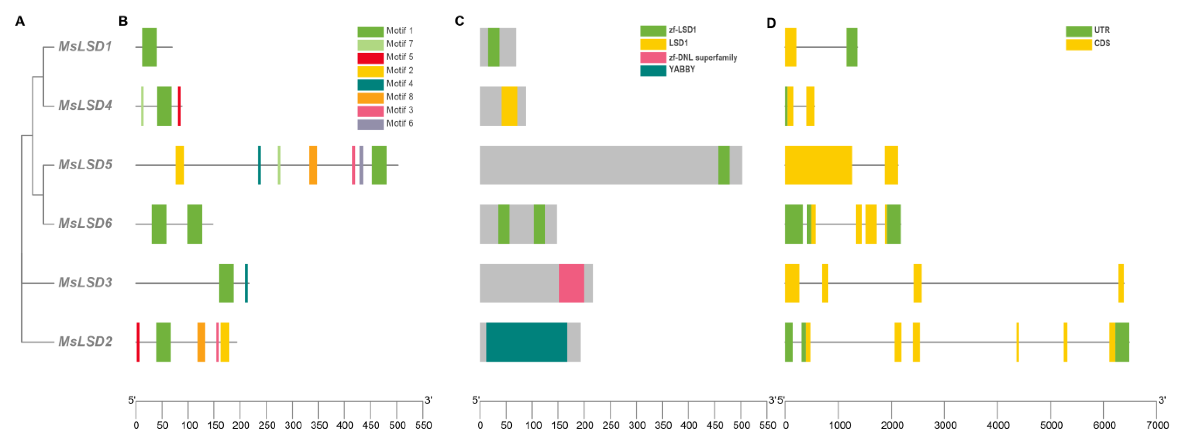 Antioxidants 12 01768 g006
