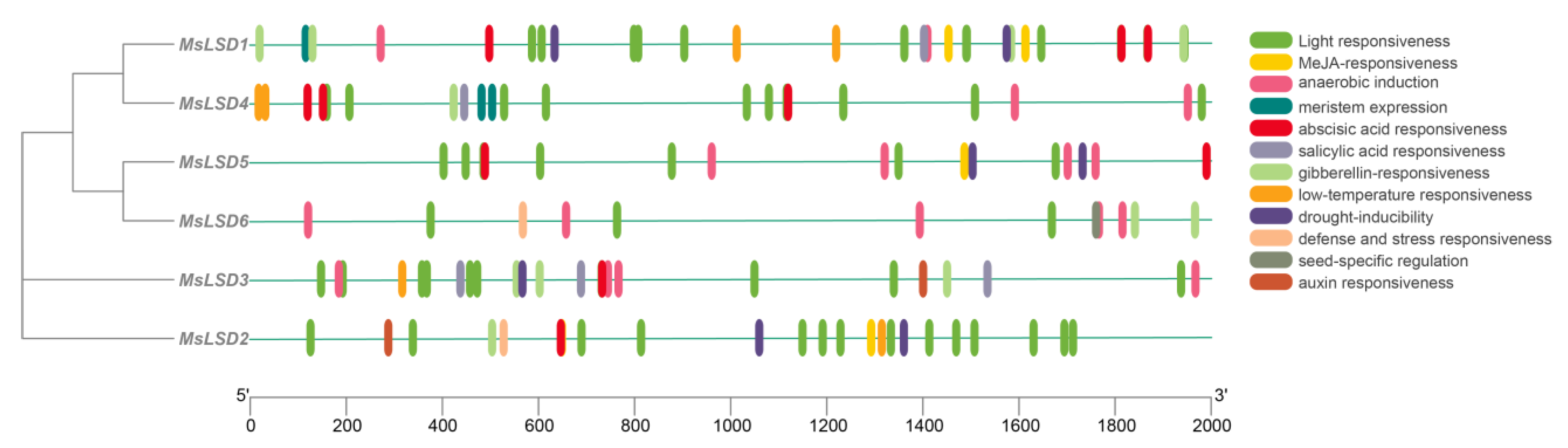 Antioxidants 12 01768 g007