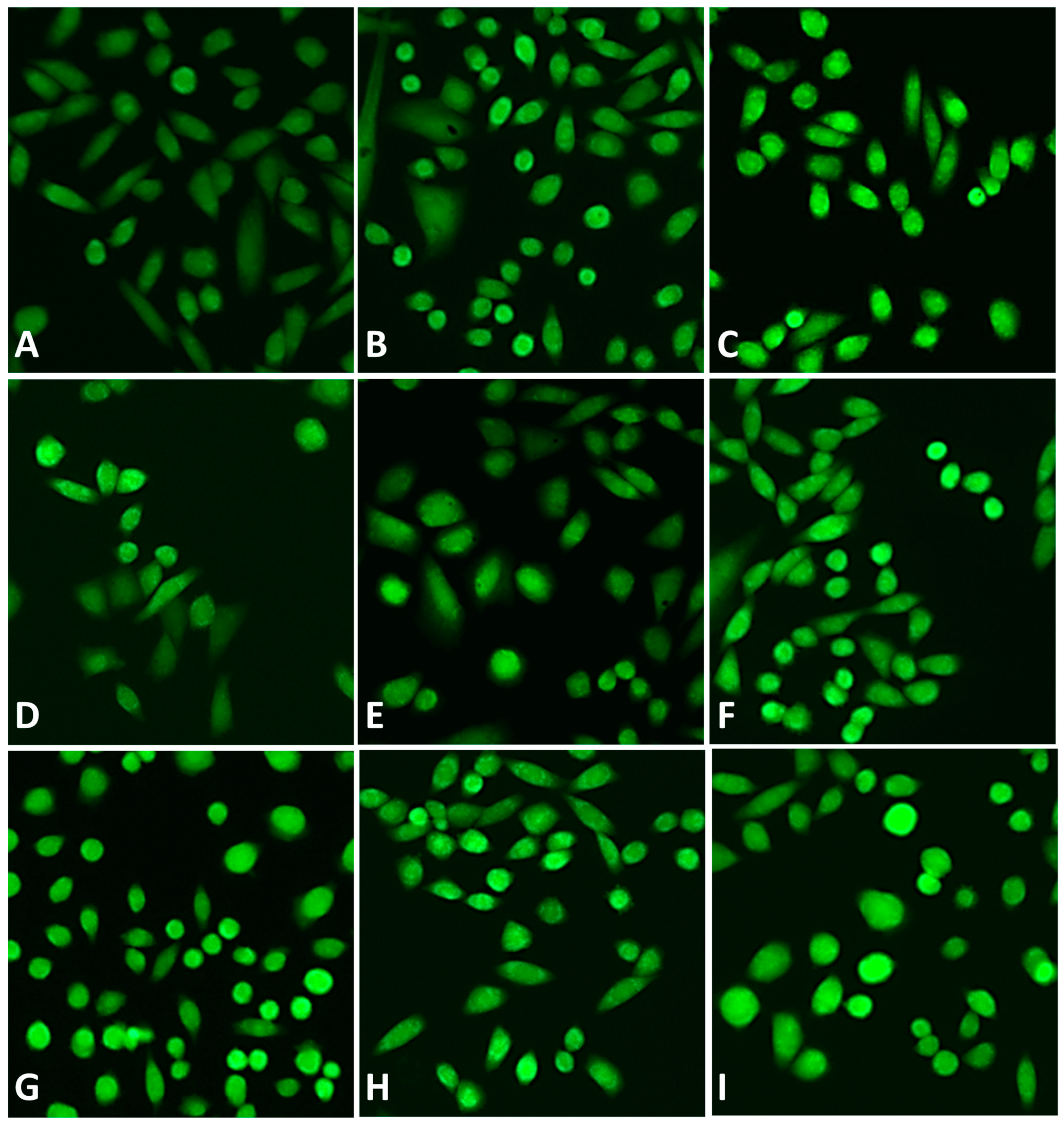 Antioxidants 12 01771 g007
