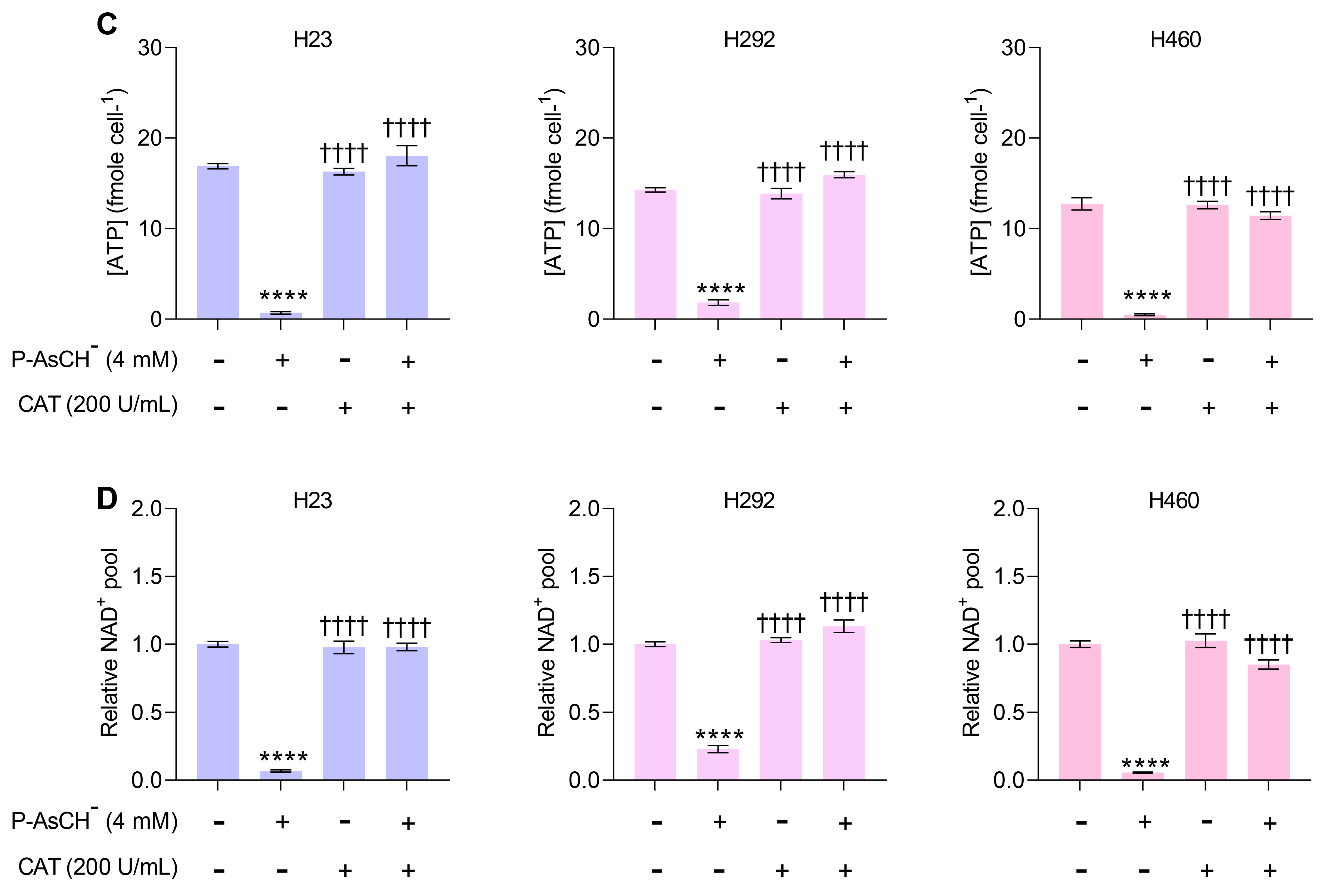 Antioxidants 12 01775 g003b