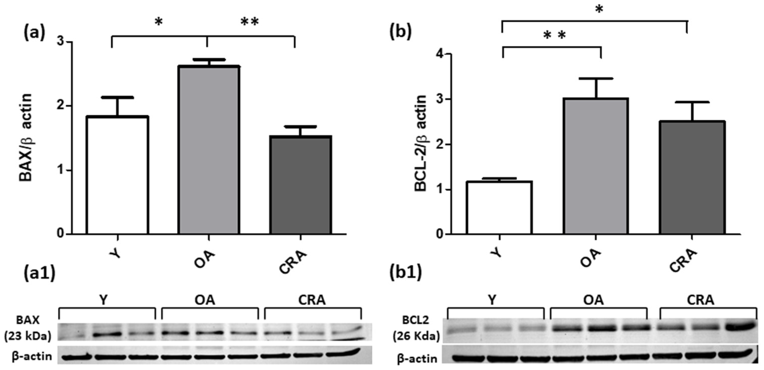 Antioxidants 12 01778 g006