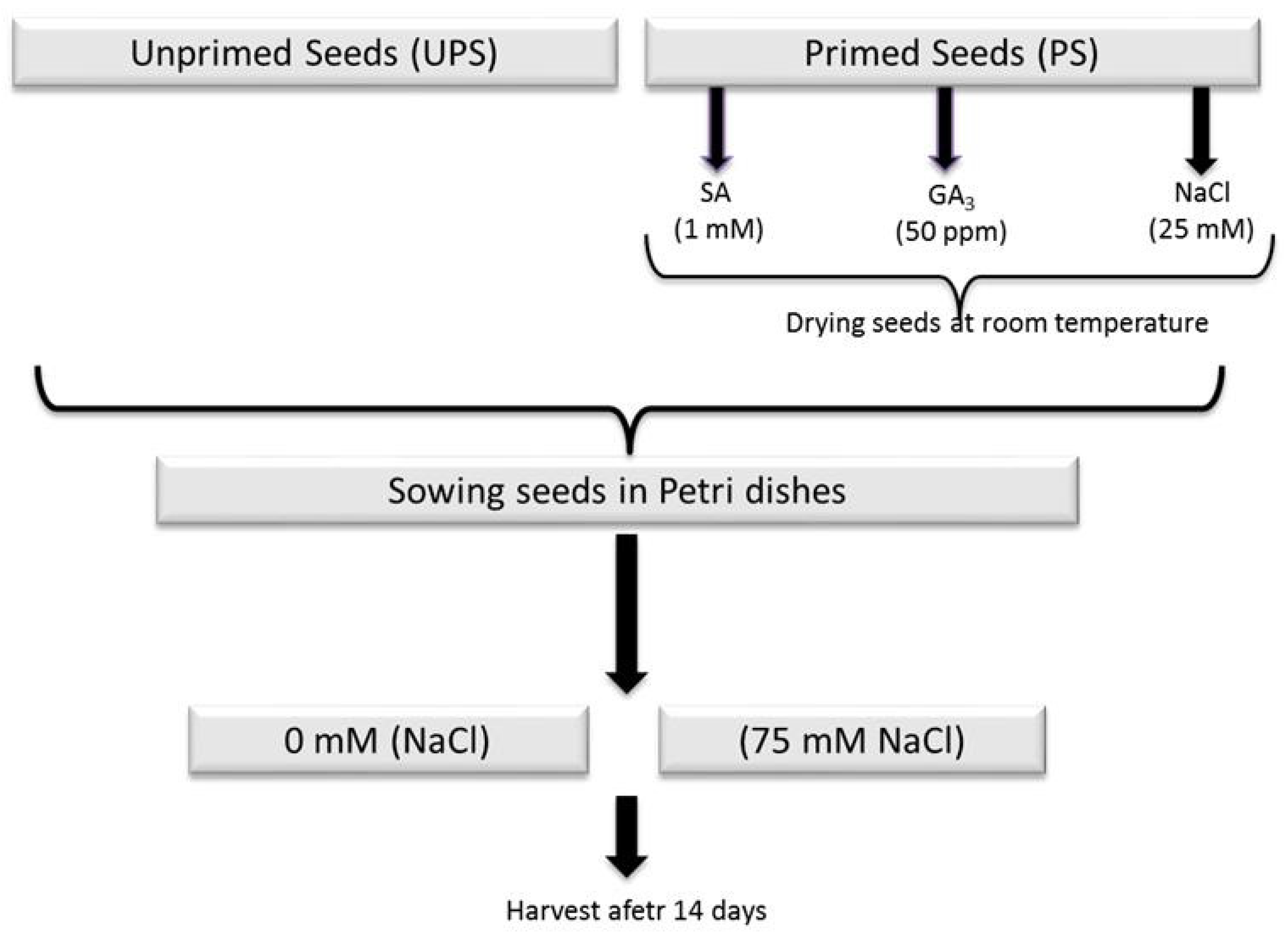 Antioxidants 12 01779 g001