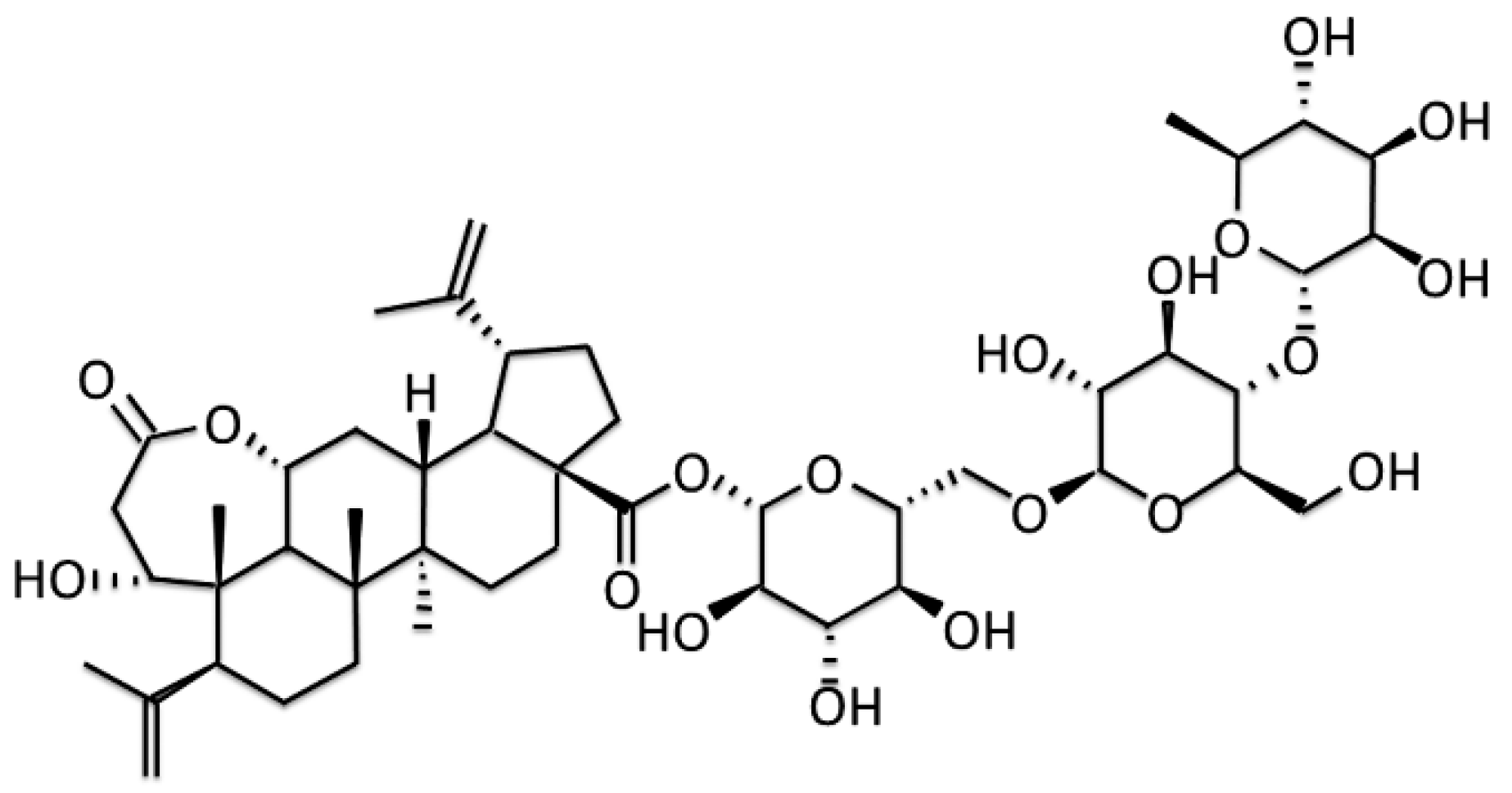 Antioxidants 12 01782 g001 Antioxidants 12 01782 g001