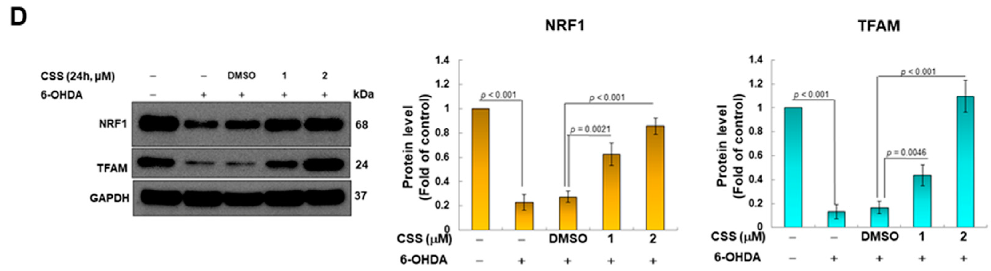 Antioxidants 12 01782 g003b Antioxidants 12 01782 g003b