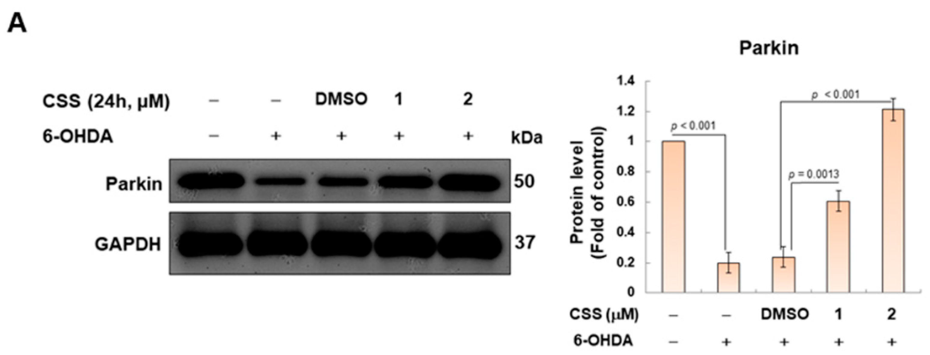 Antioxidants 12 01782 g005a Antioxidants 12 01782 g005a