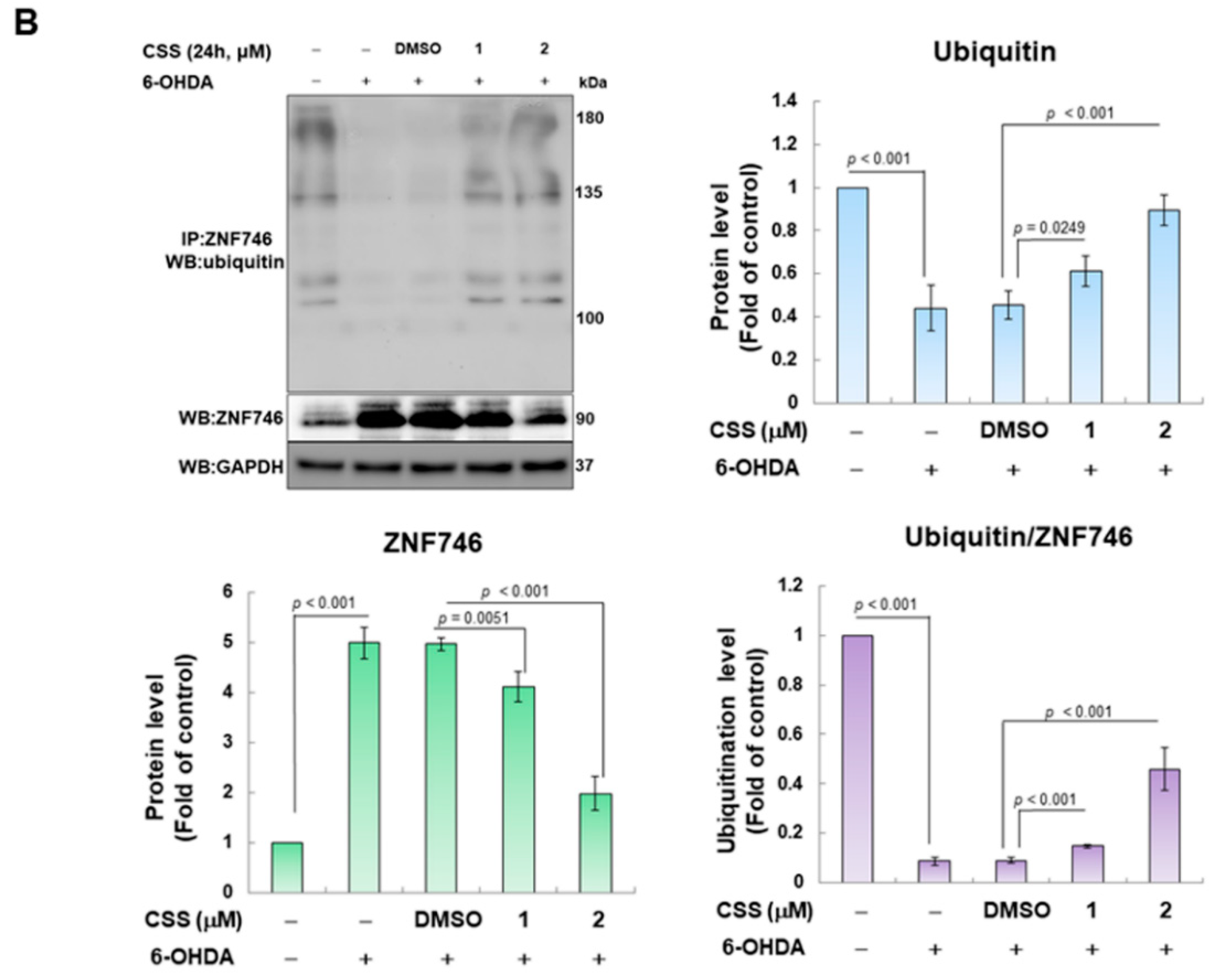 Antioxidants 12 01782 g005b Antioxidants 12 01782 g005b