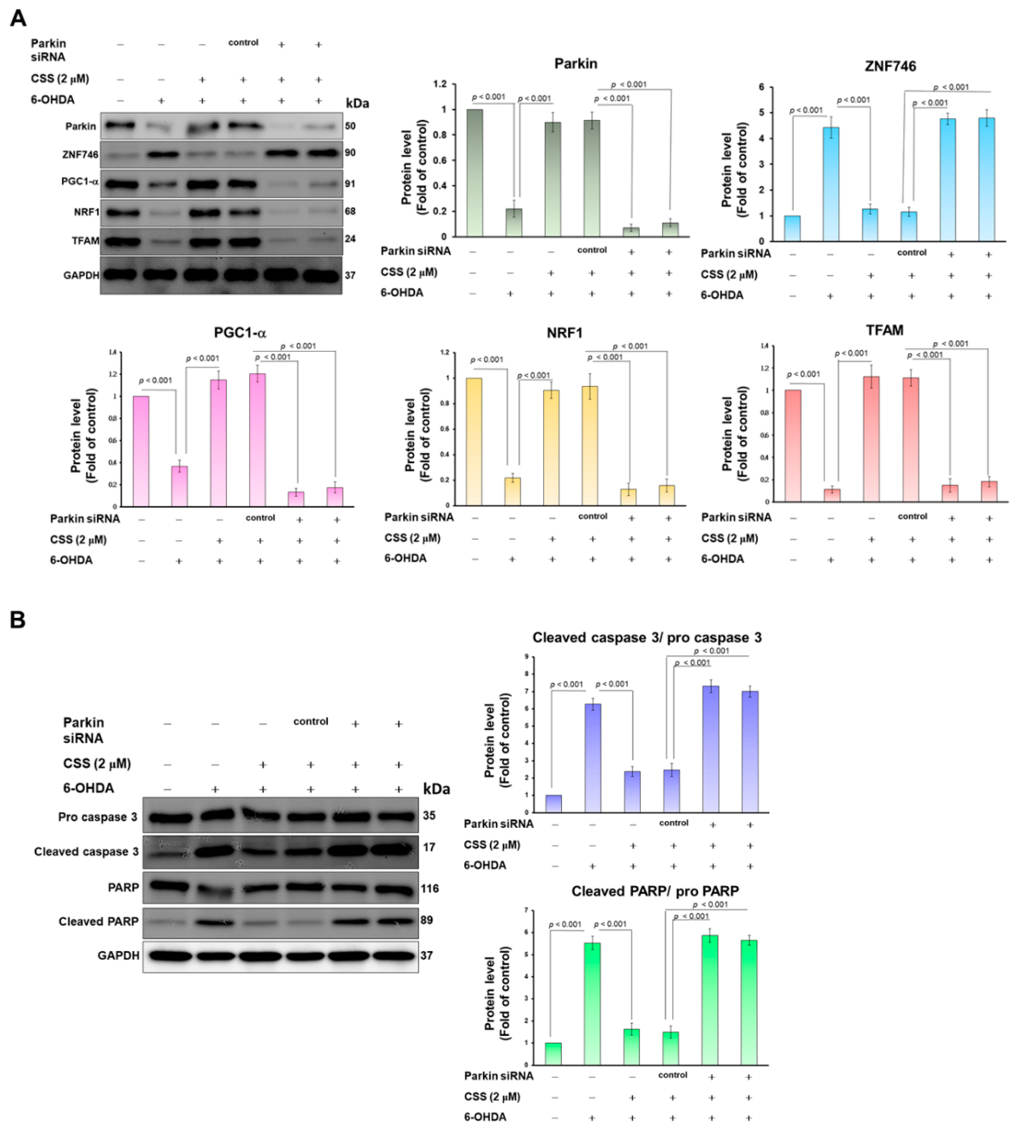 Antioxidants 12 01782 g006 Antioxidants 12 01782 g006