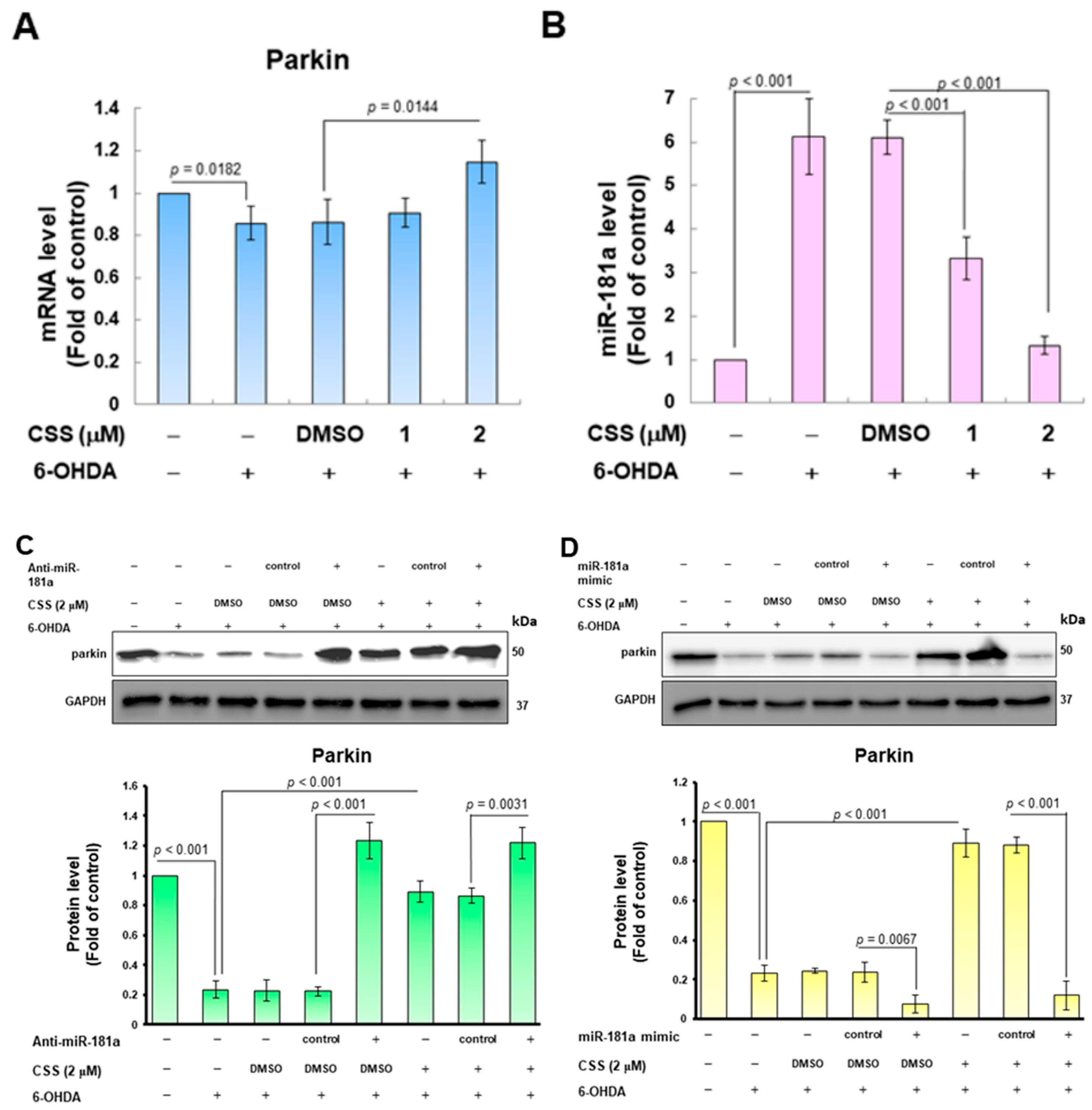 Antioxidants 12 01782 g007 Antioxidants 12 01782 g007
