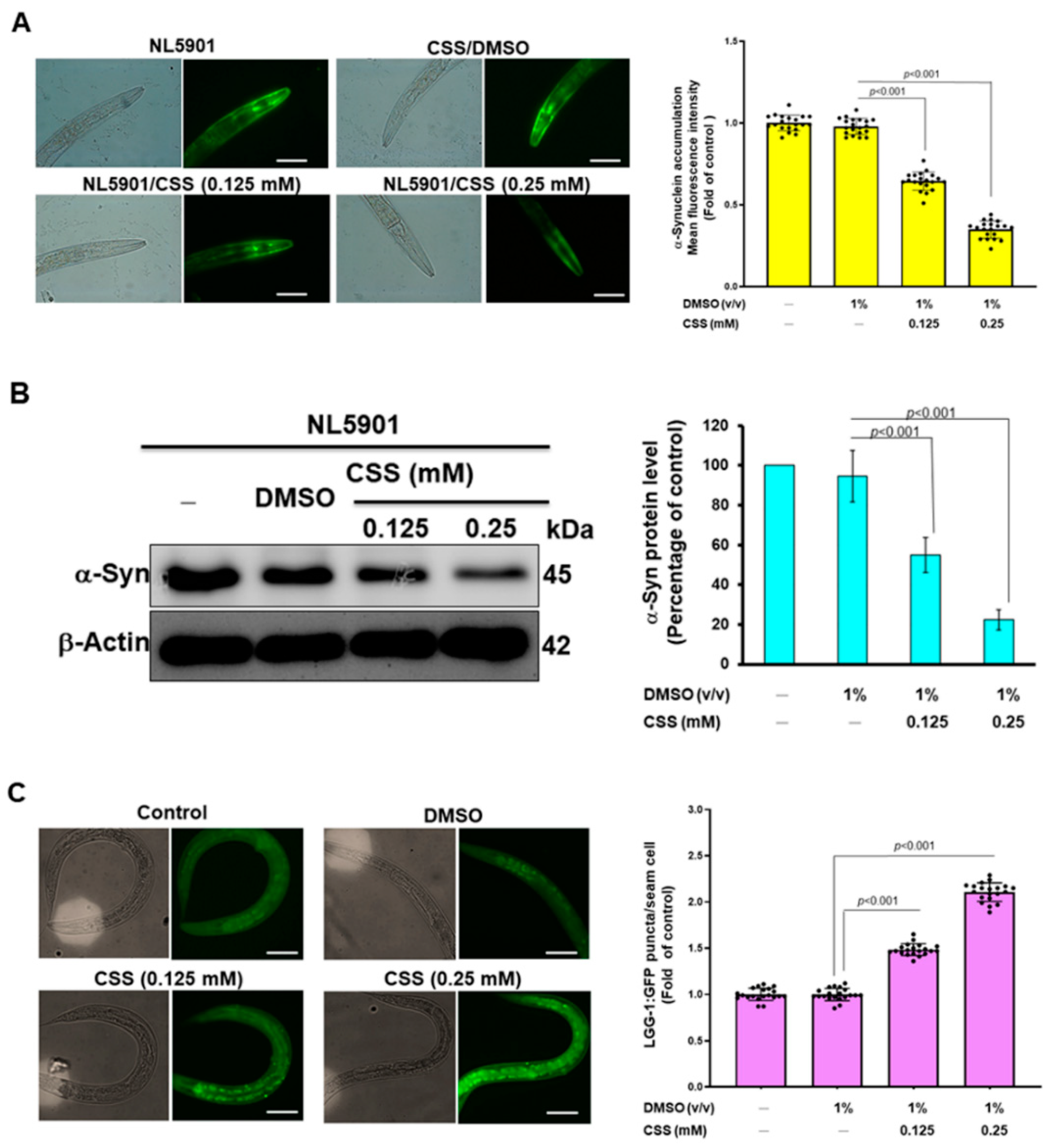 Antioxidants 12 01782 g010 Antioxidants 12 01782 g010