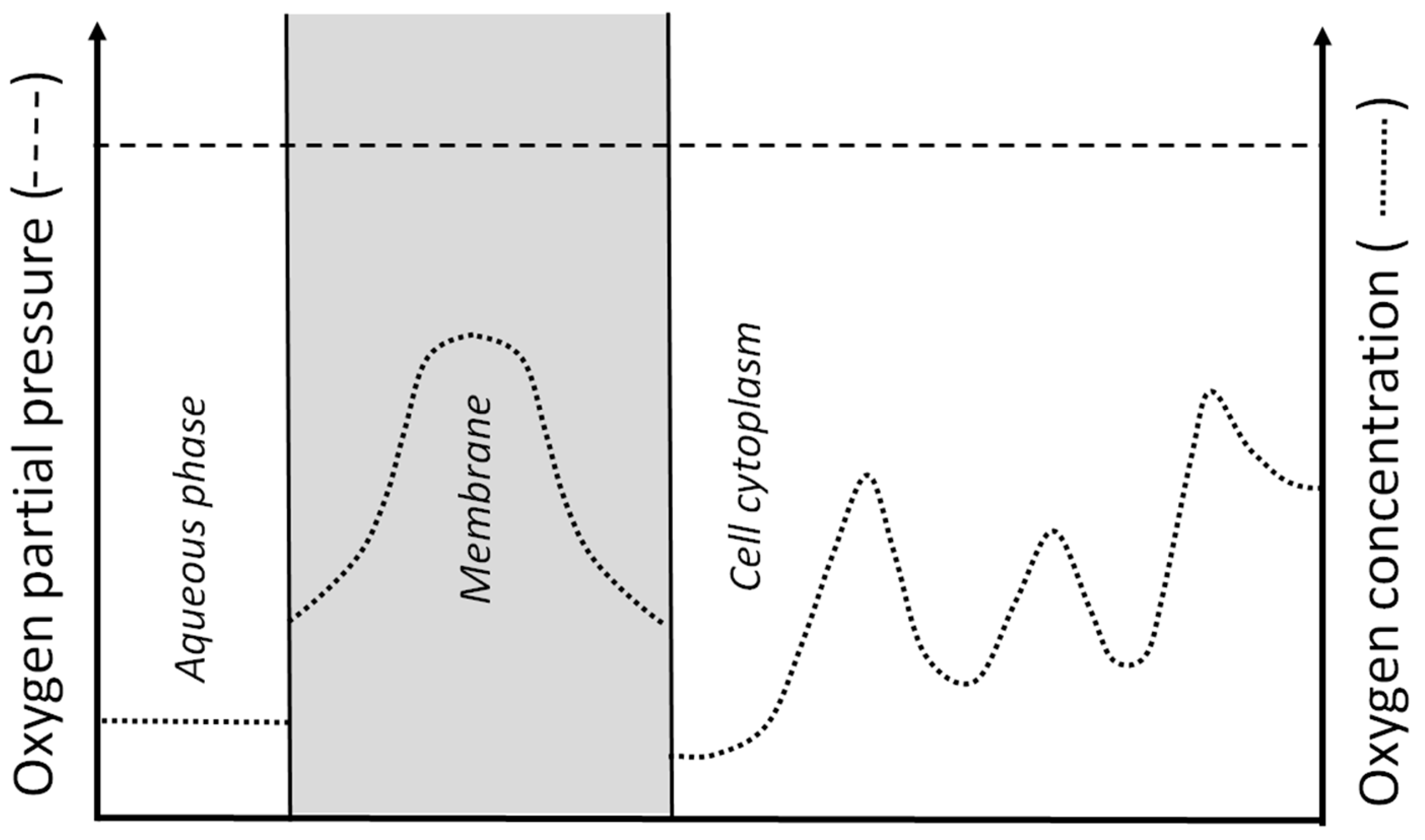 Antioxidants 12 01783 g001