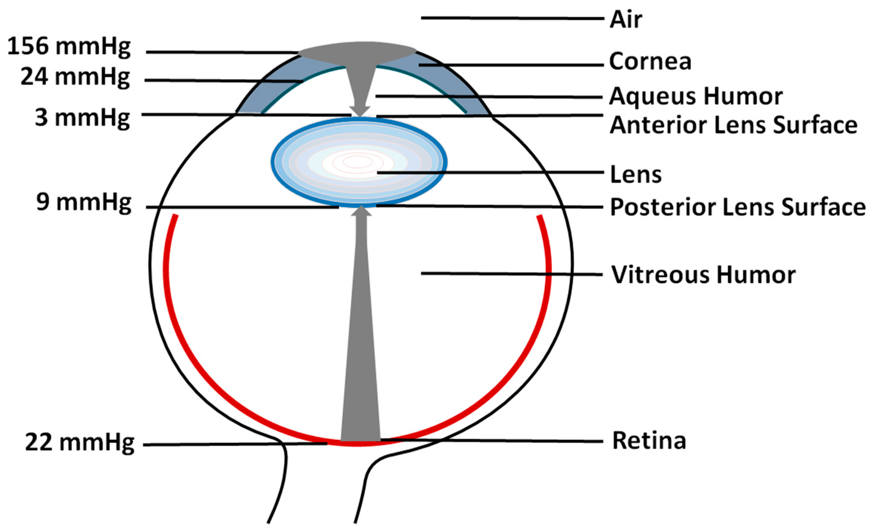 Antioxidants 12 01783 g002