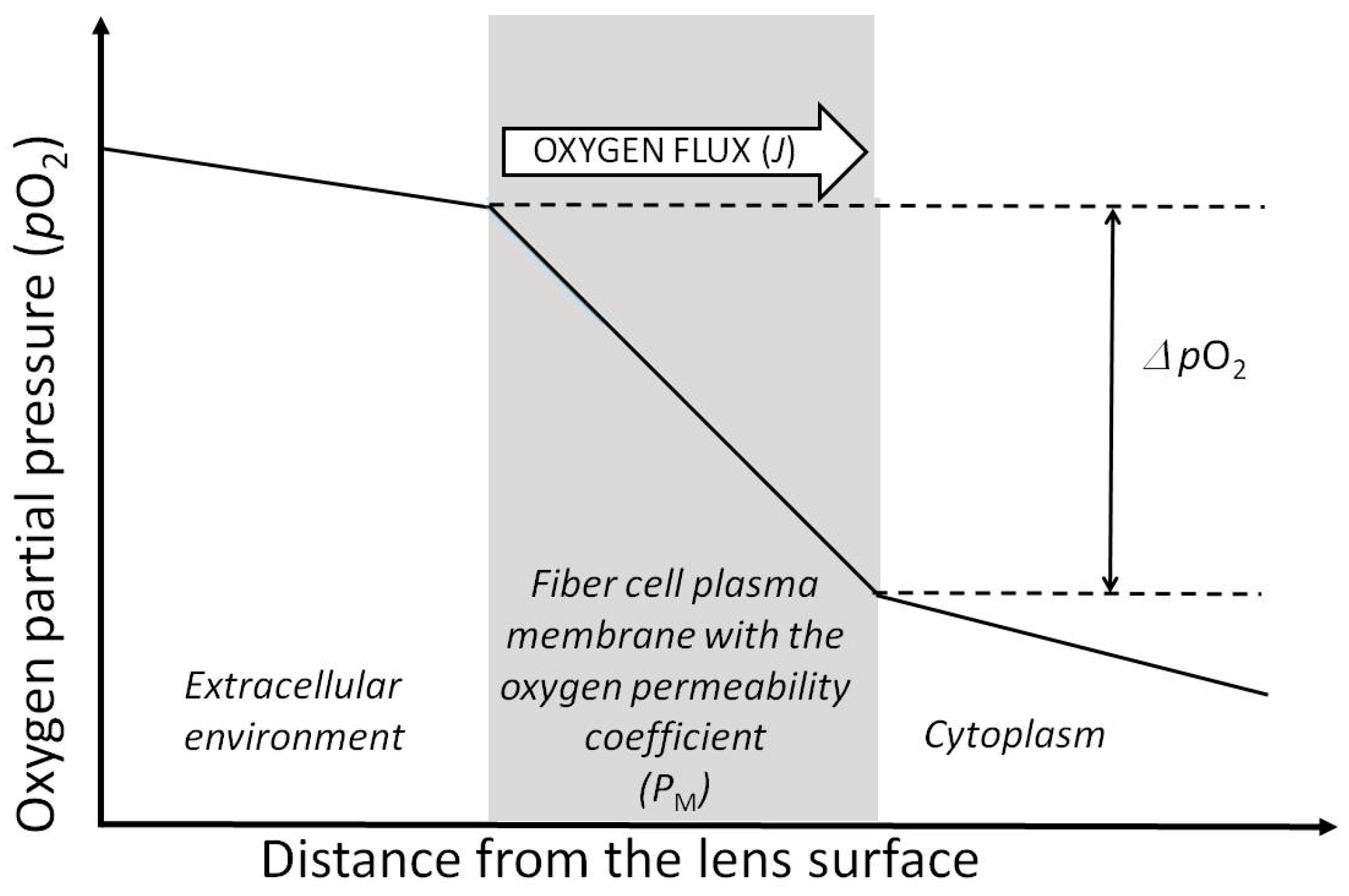 Antioxidants 12 01783 g004
