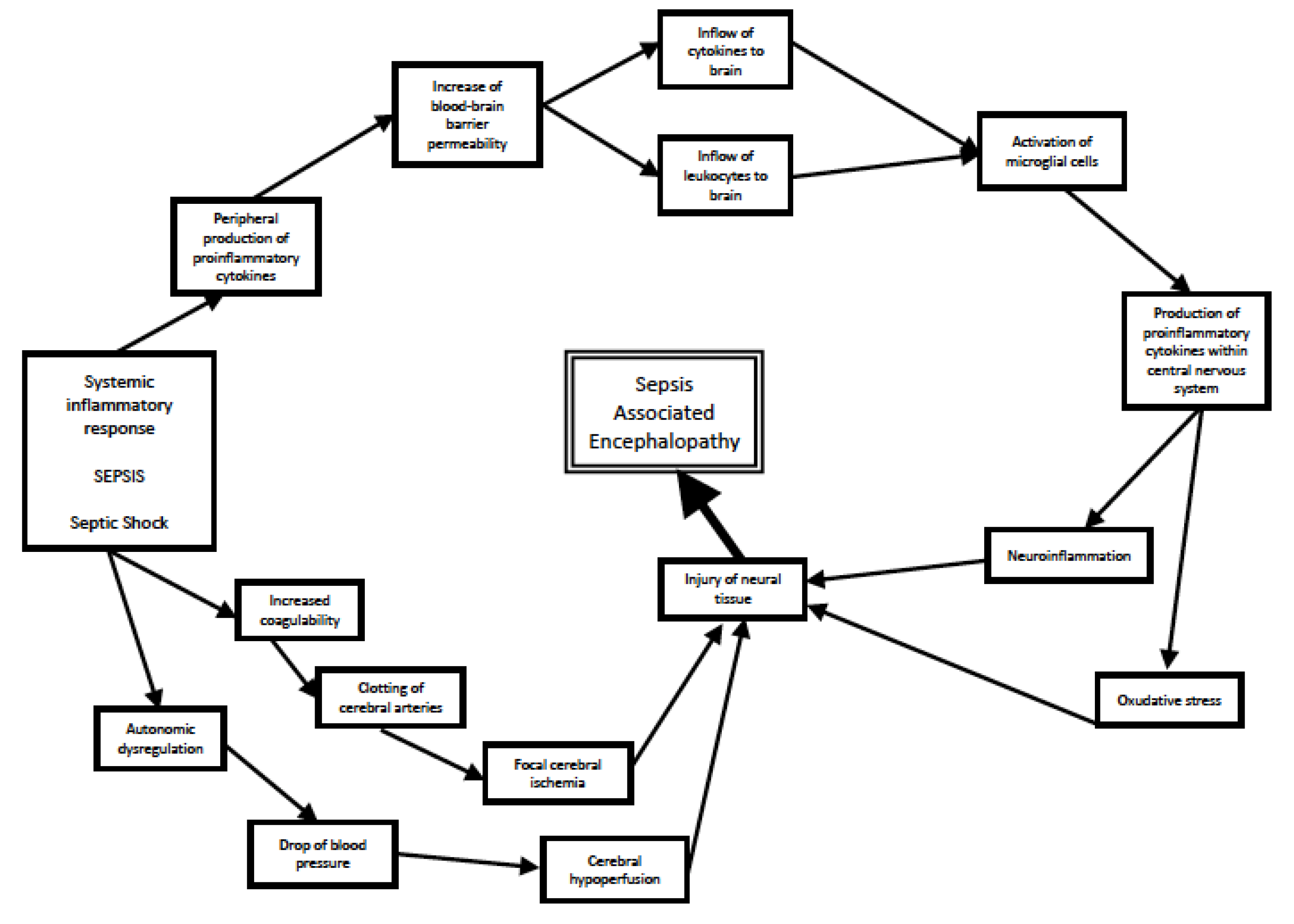Antioxidants 12 01786 g001 Antioxidants 12 01786 g001