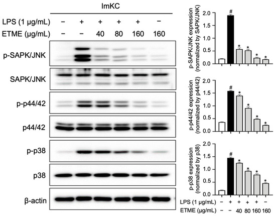 ナショナル　オルガン Inhibitory Effects of Ehretia tinifolia Extract on the