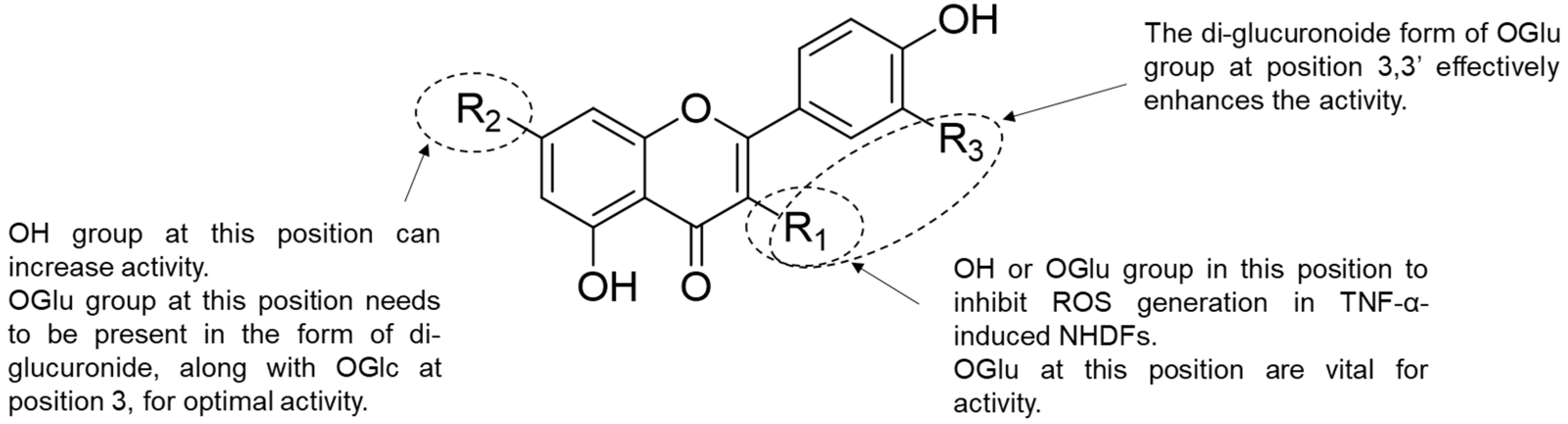 Antioxidants 12 01803 g010