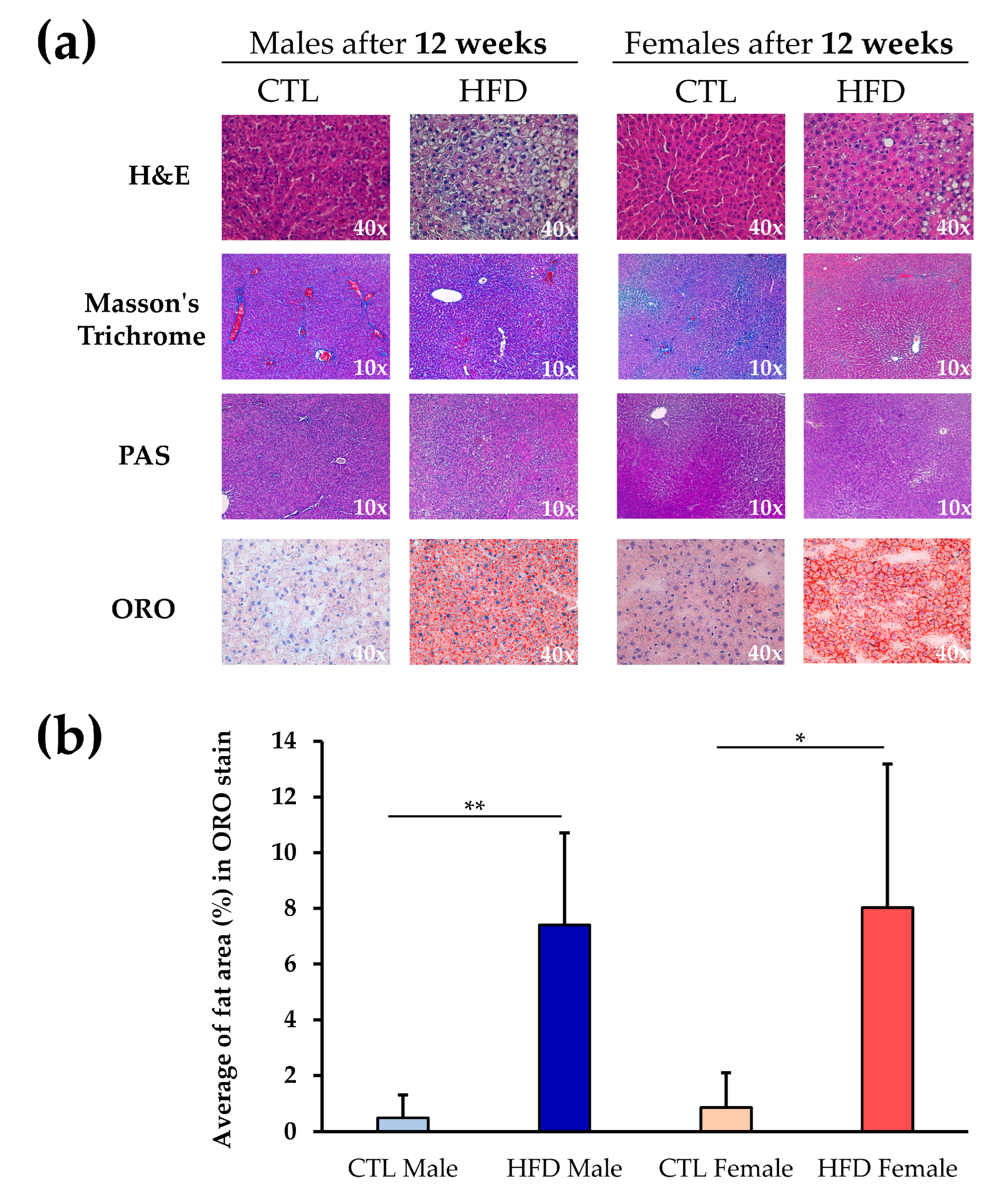Antioxidants 12 01808 g001
