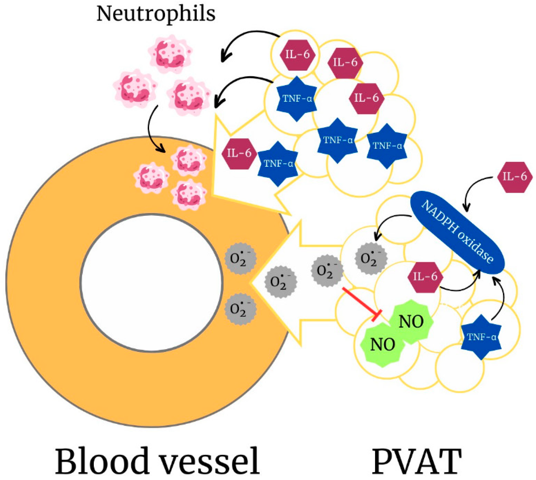 Antioxidants 12 01813 g003 Antioxidants 12 01813 g003