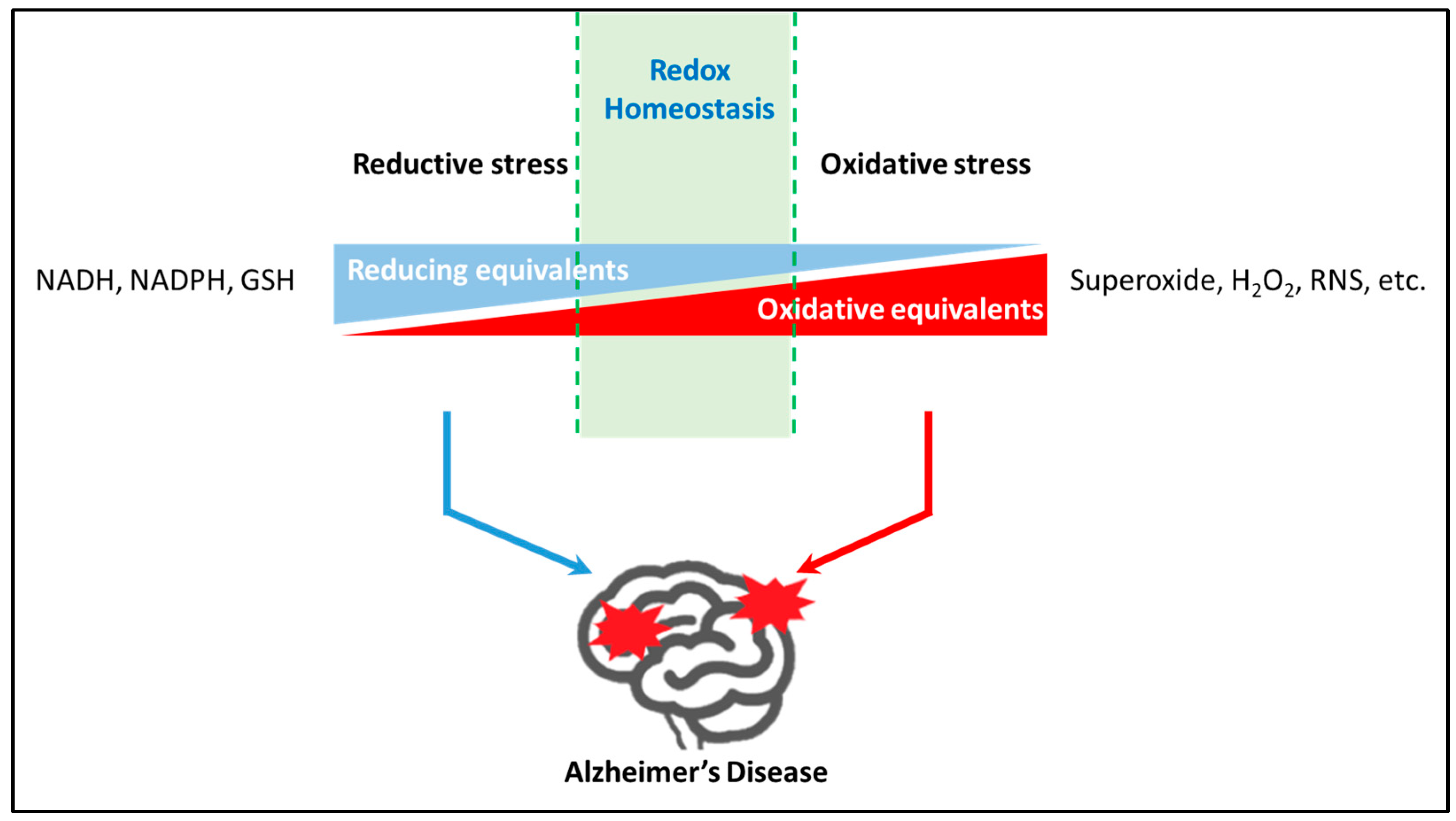 Antioxidants 12 01816 g001