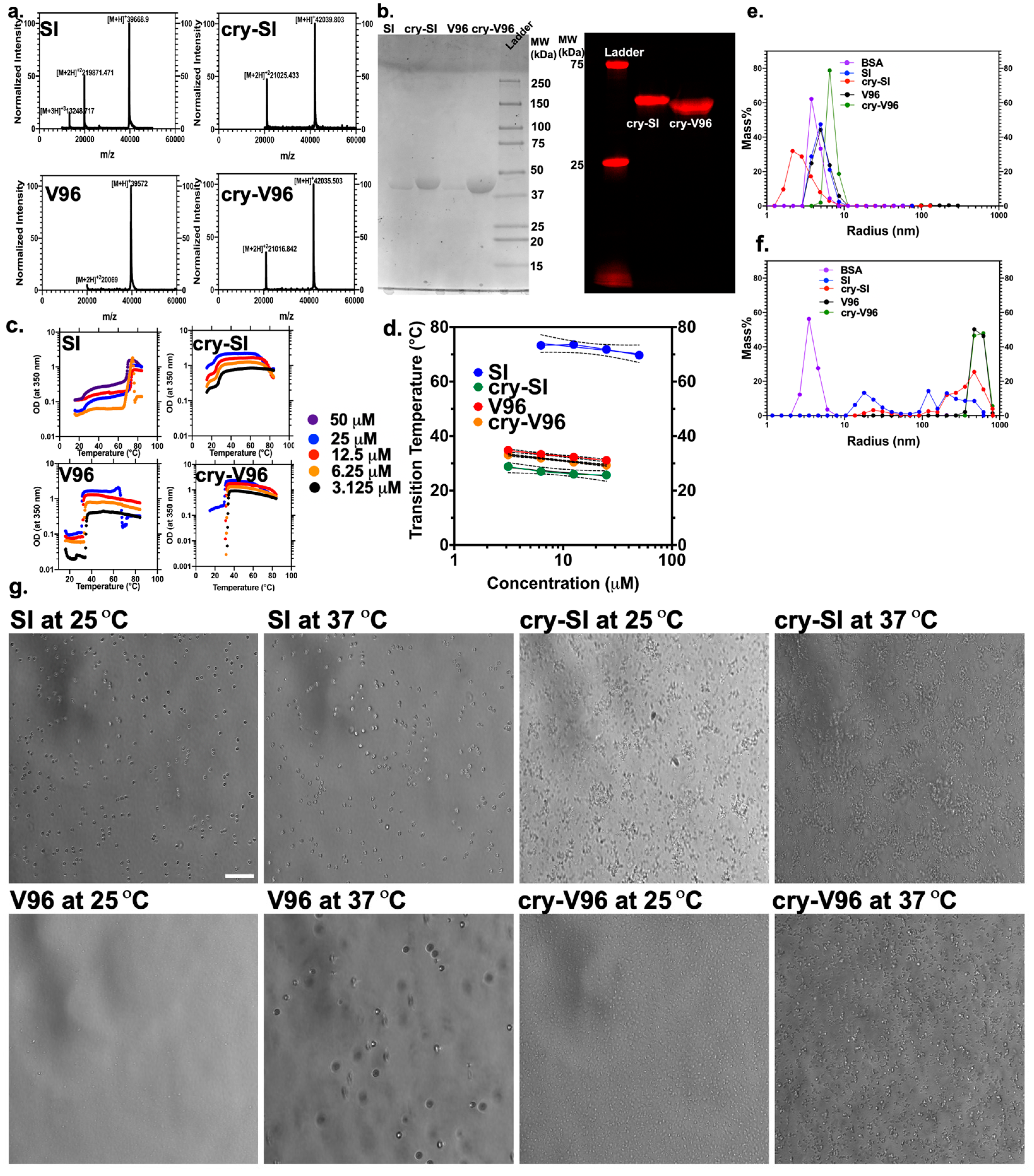 Antioxidants 12 01817 g001
